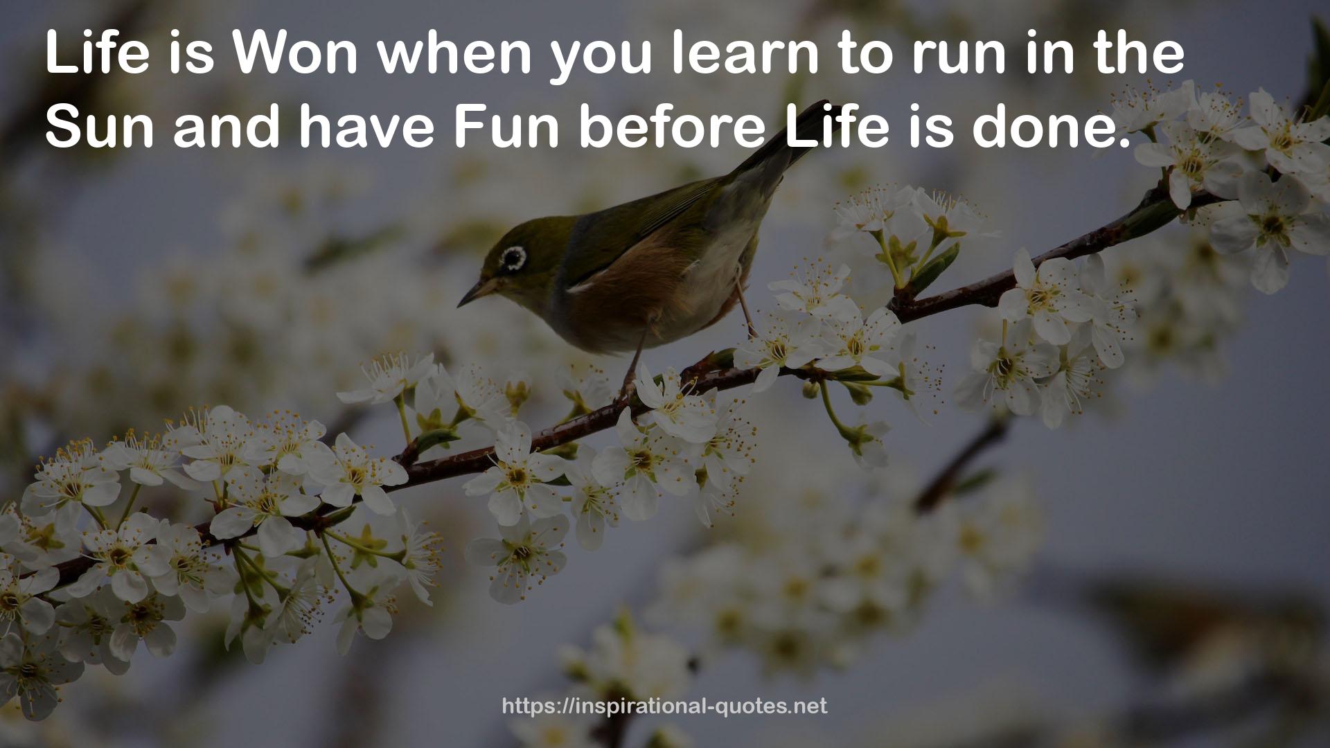 Fun before Life  QUOTES