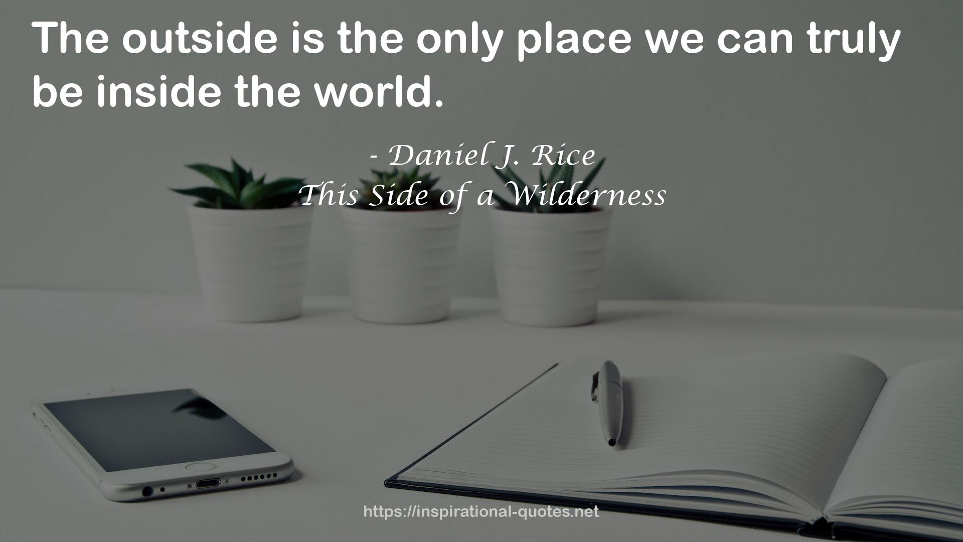 This Side of a Wilderness QUOTES