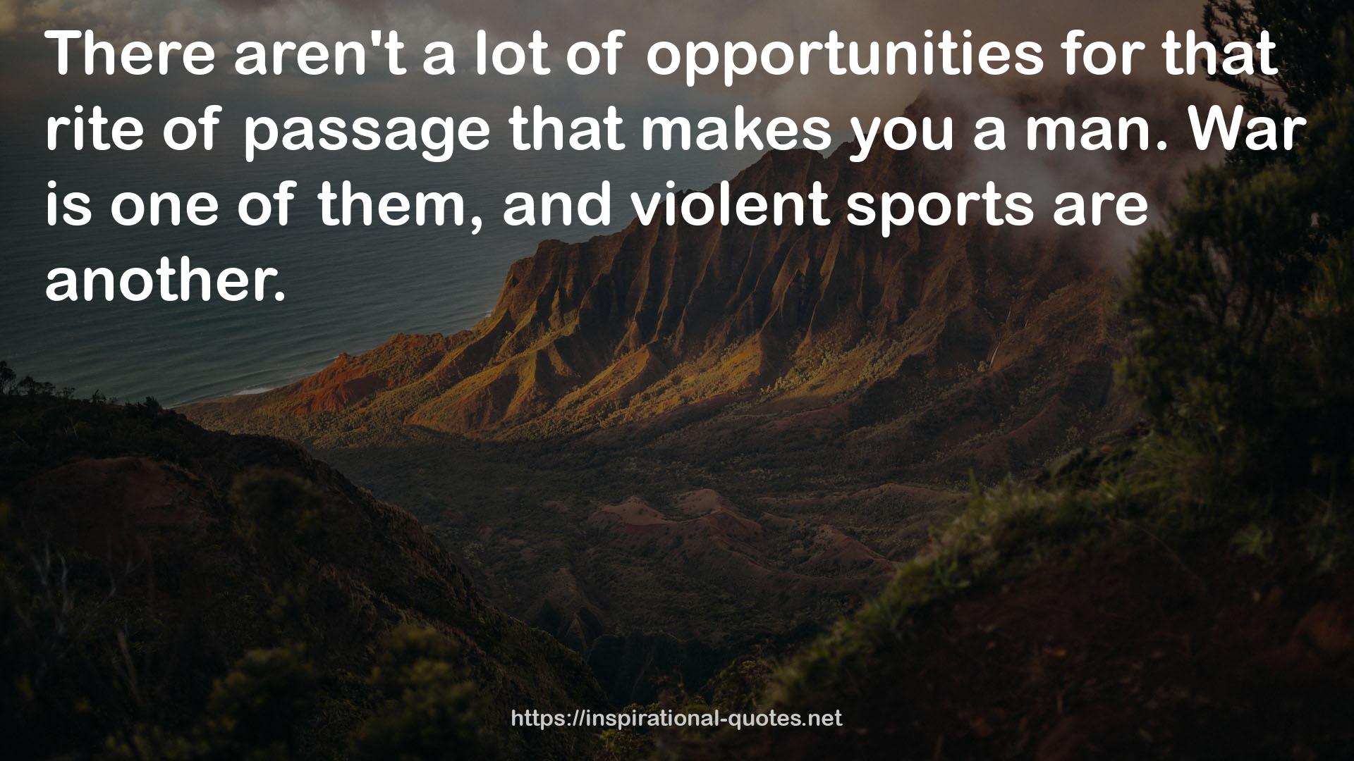 violent sports  QUOTES