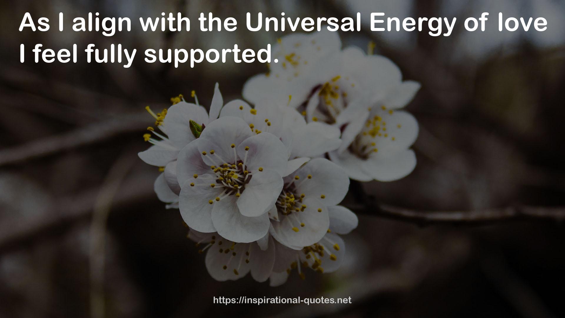 the Universal Energy  QUOTES