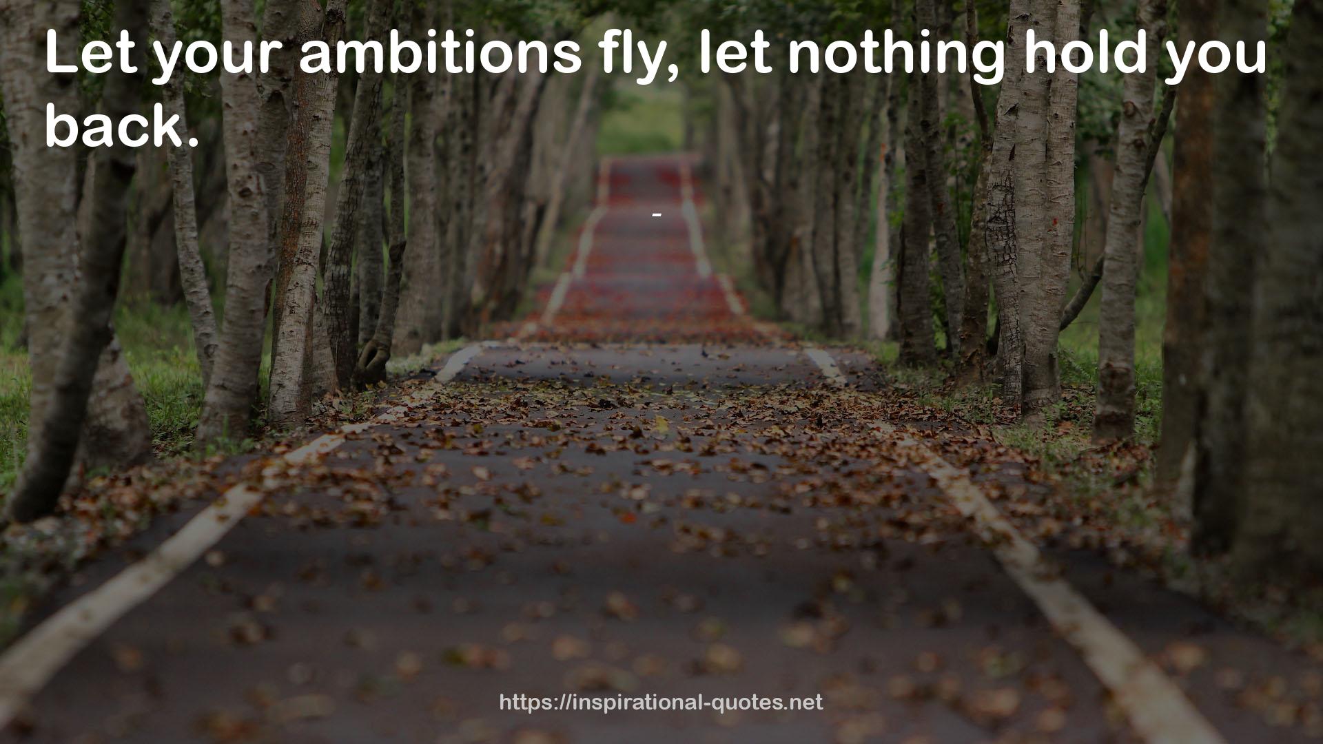 your ambitions  QUOTES