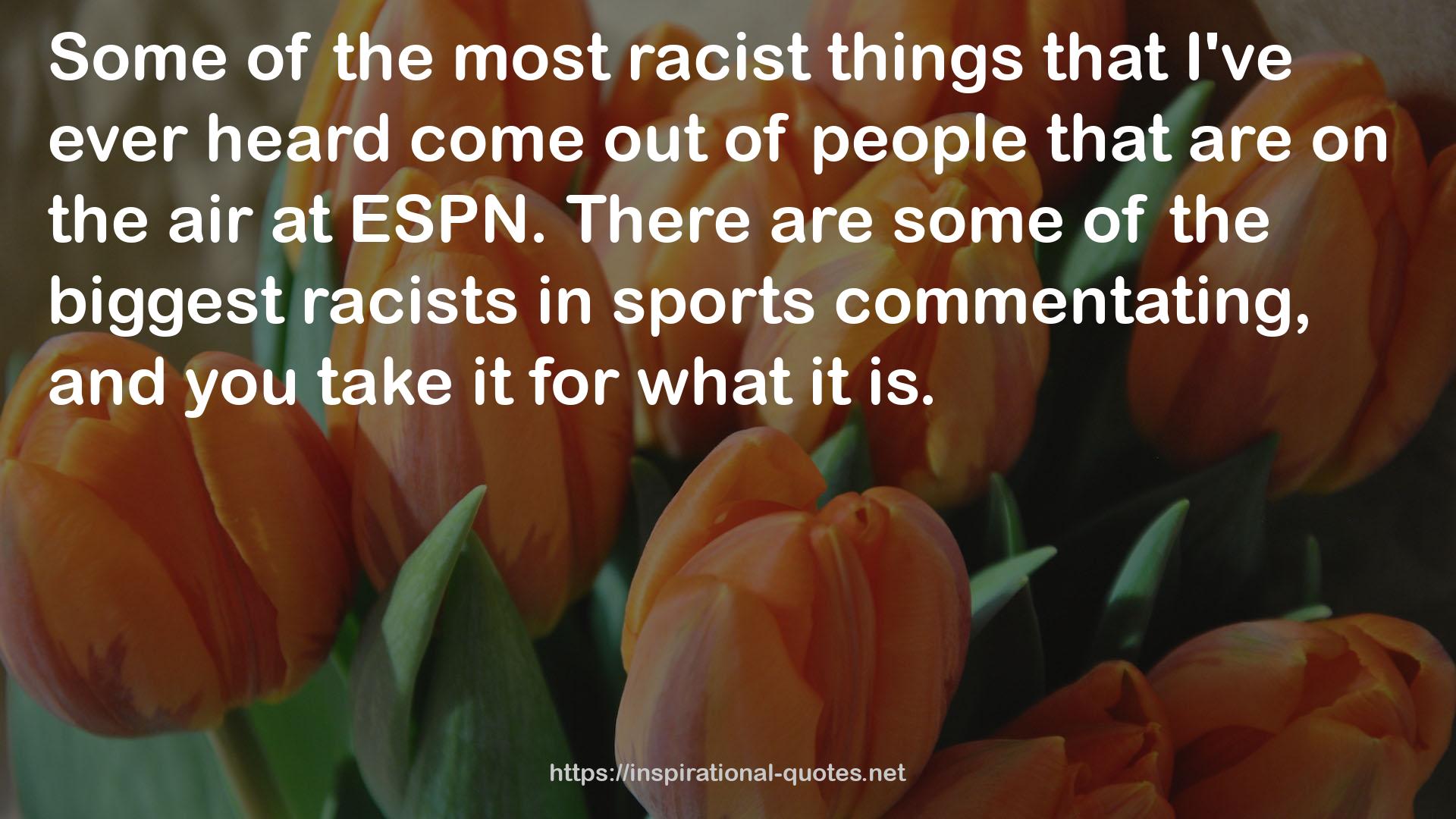 the most racist things  QUOTES