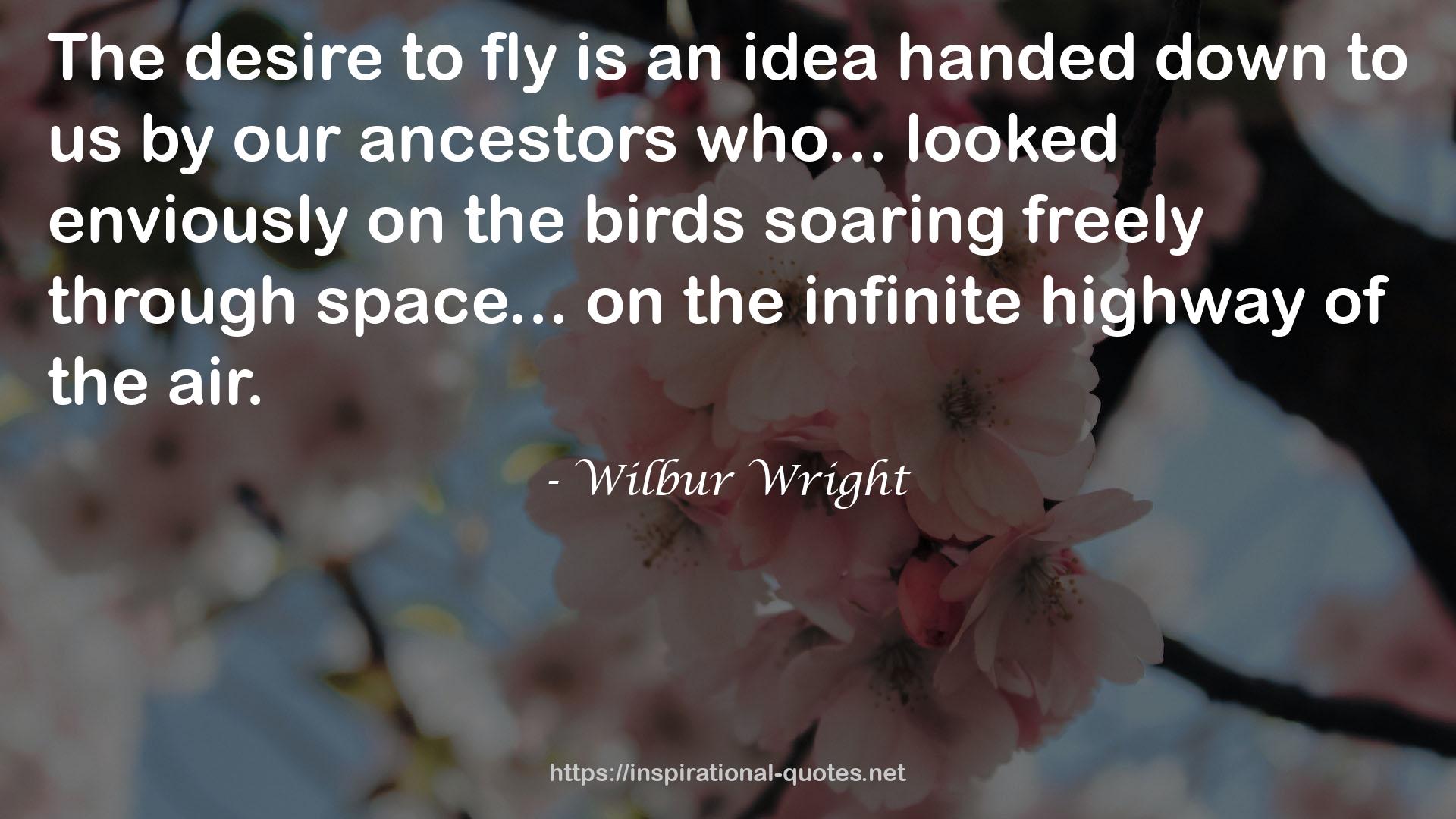 Wilbur Wright QUOTES