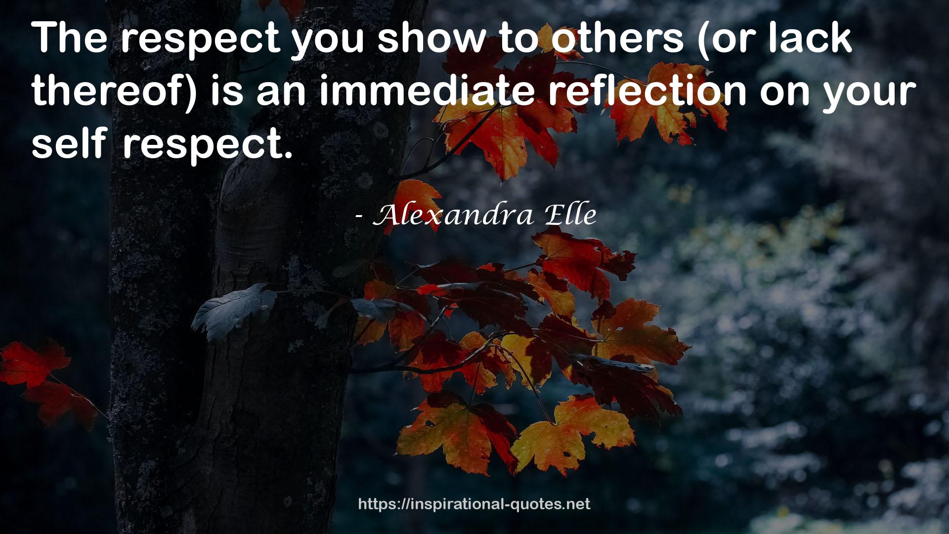 an immediate reflection  QUOTES