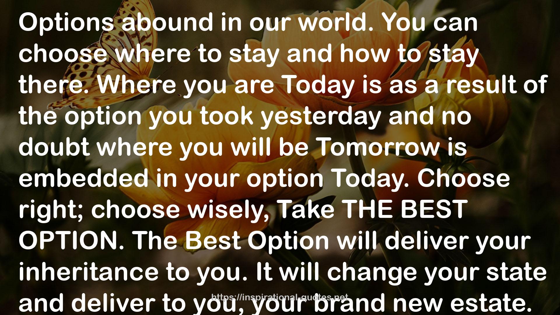 the best option  QUOTES