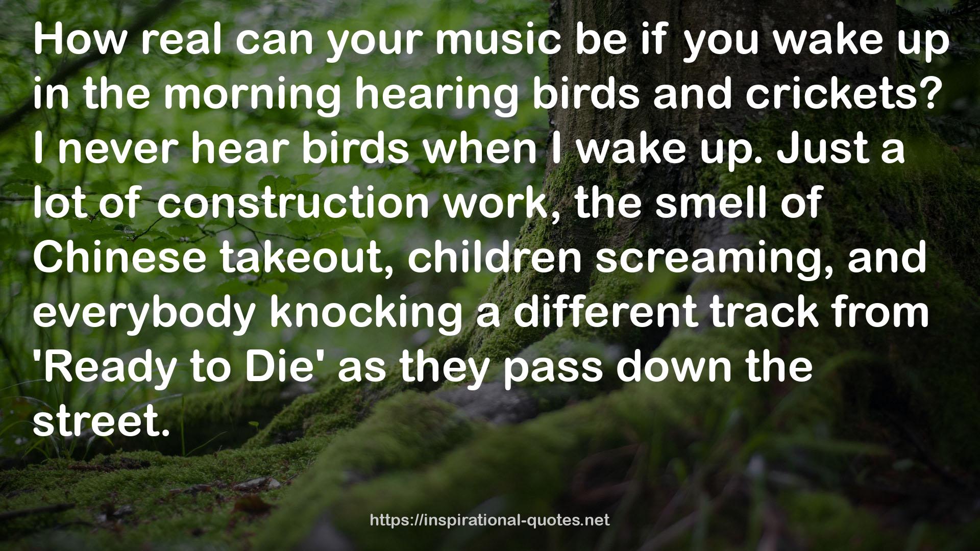 the morning hearing birds  QUOTES