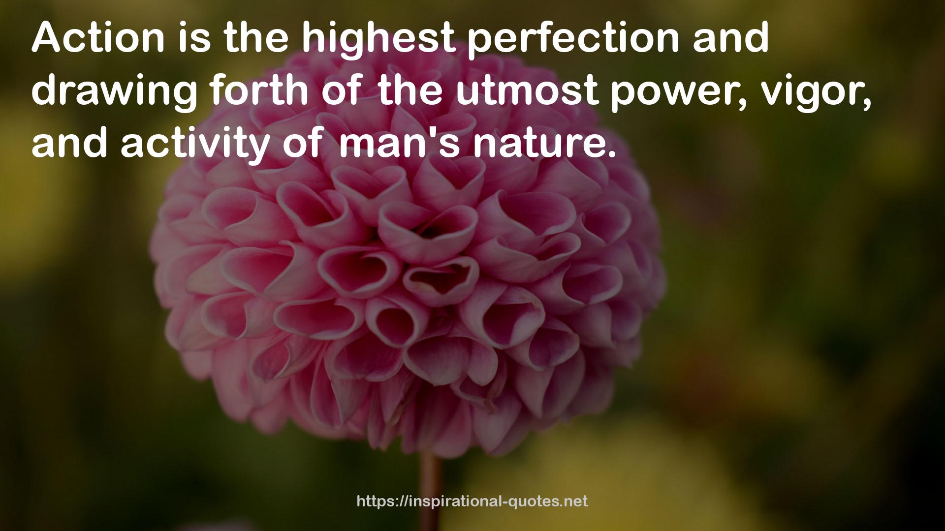 the highest perfection  QUOTES