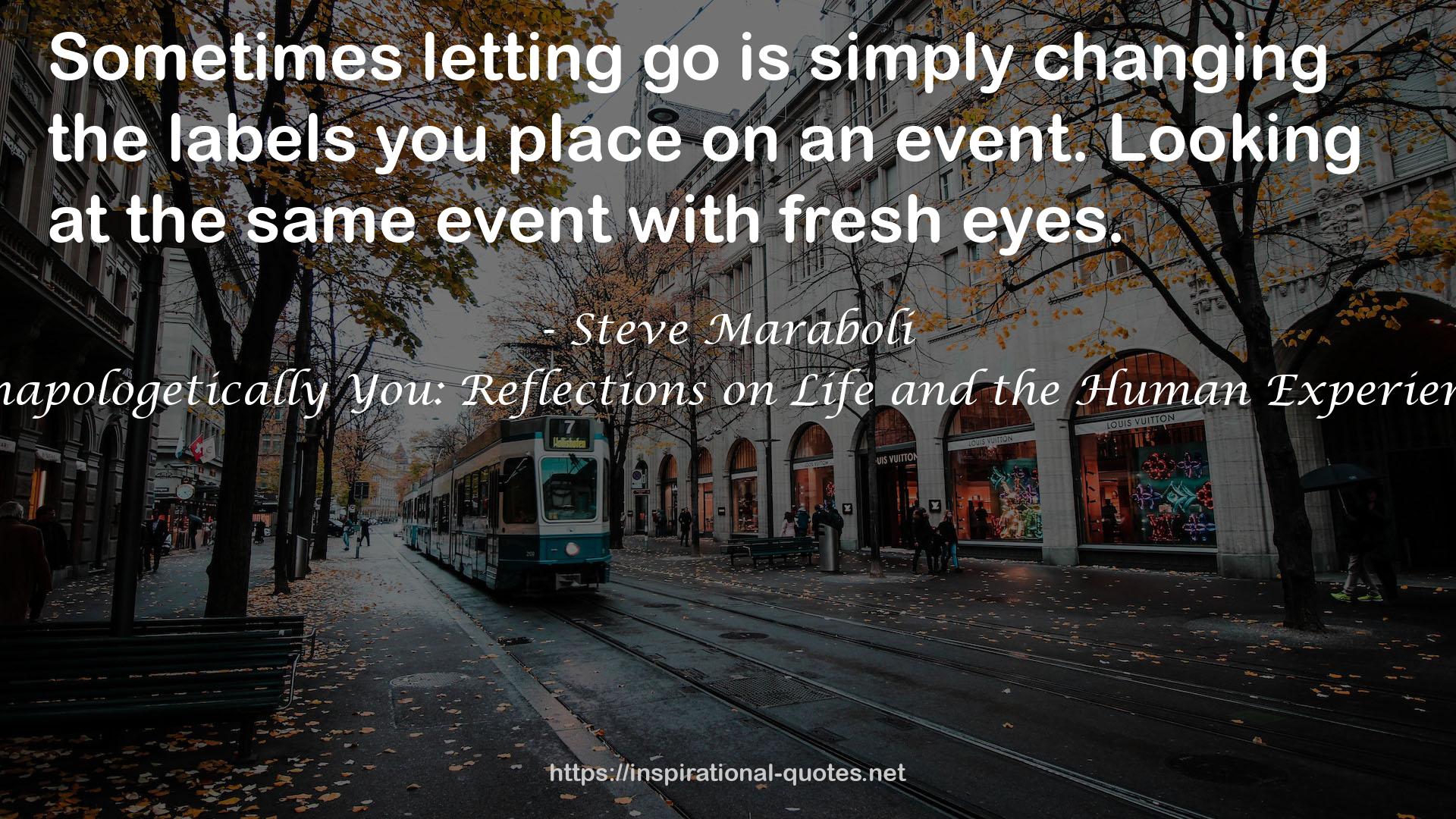 Steve Maraboli QUOTES