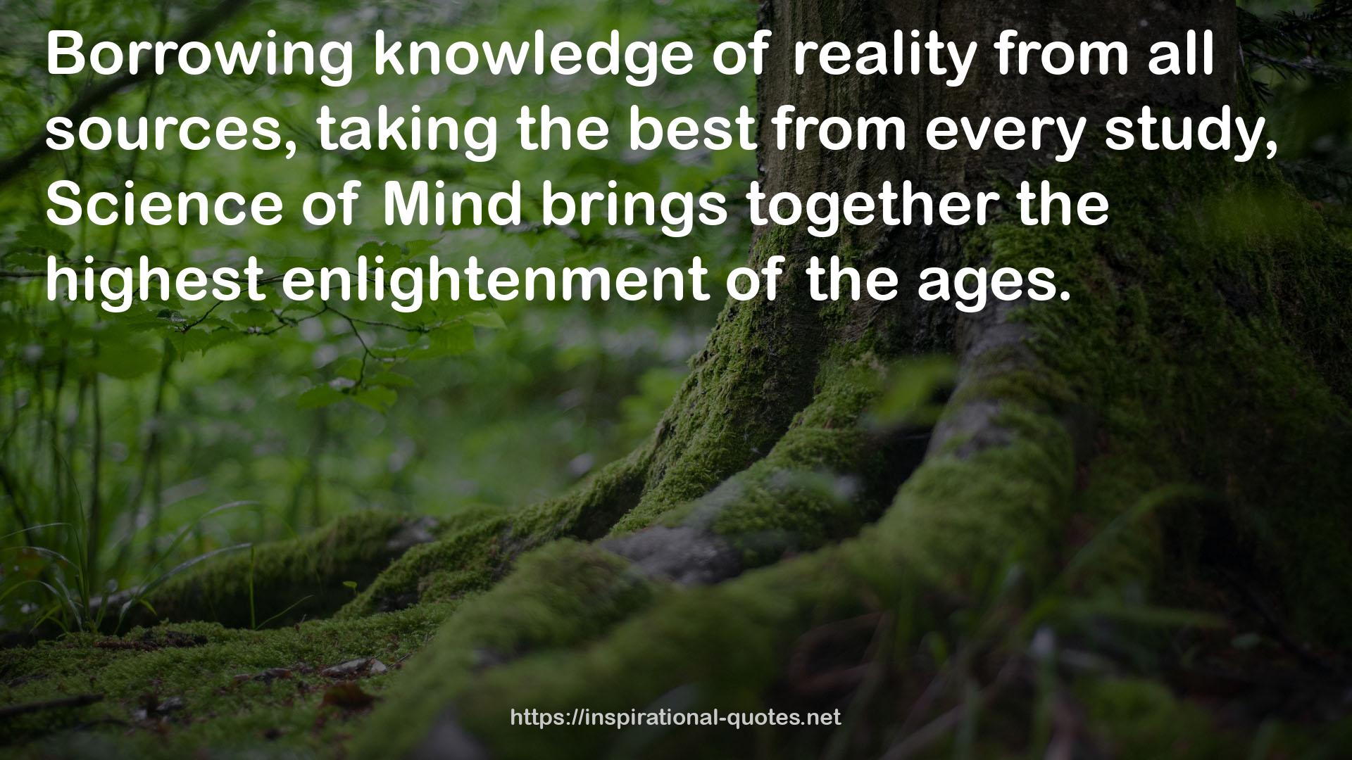 the highest enlightenment  QUOTES