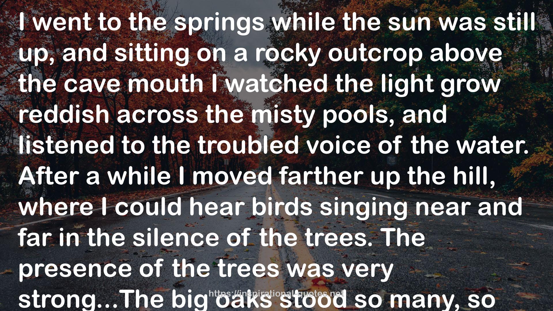 the springs  QUOTES