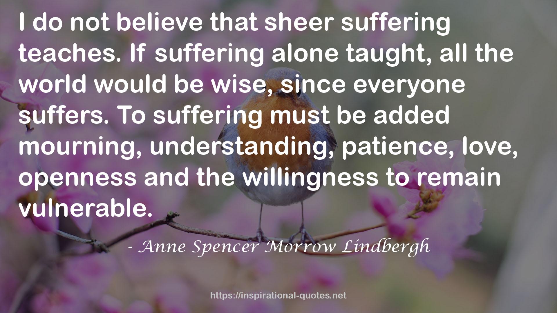 Anne Spencer Morrow Lindbergh QUOTES