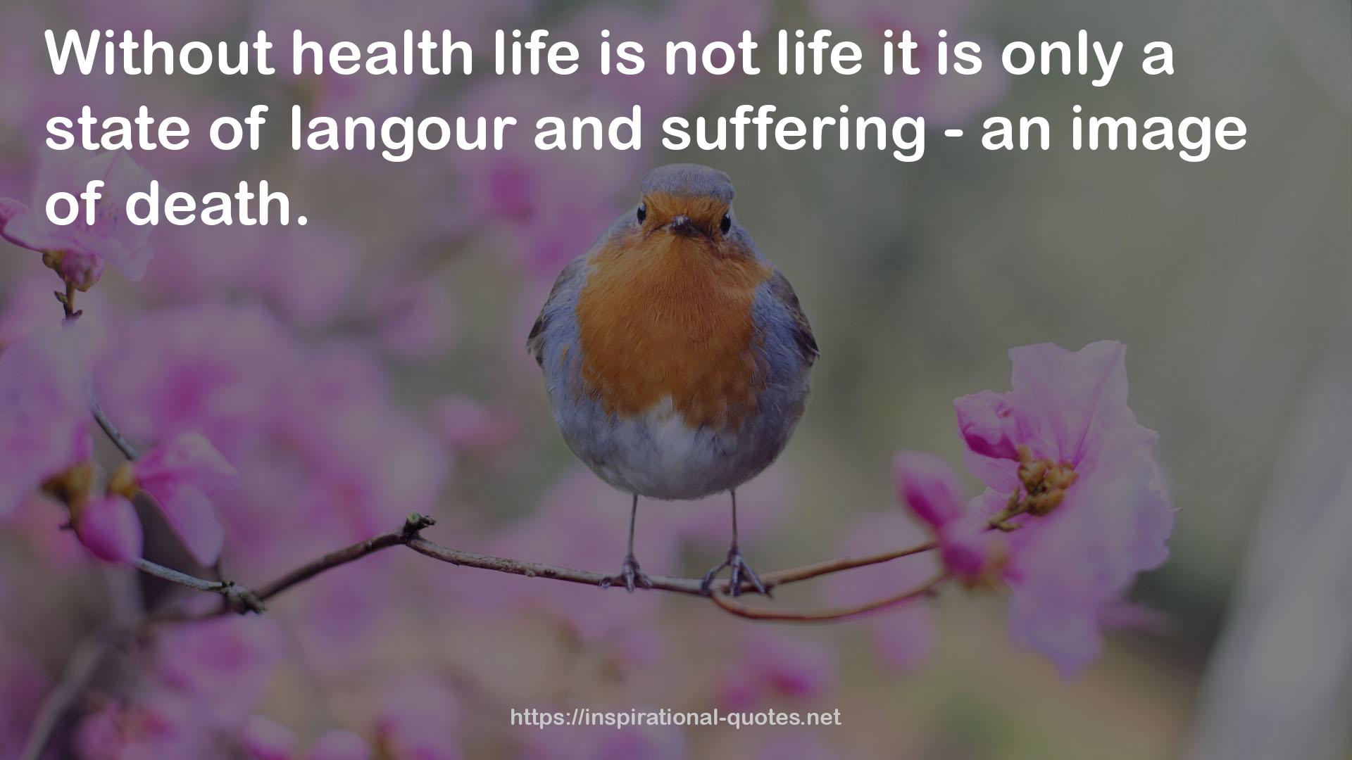 health life  QUOTES