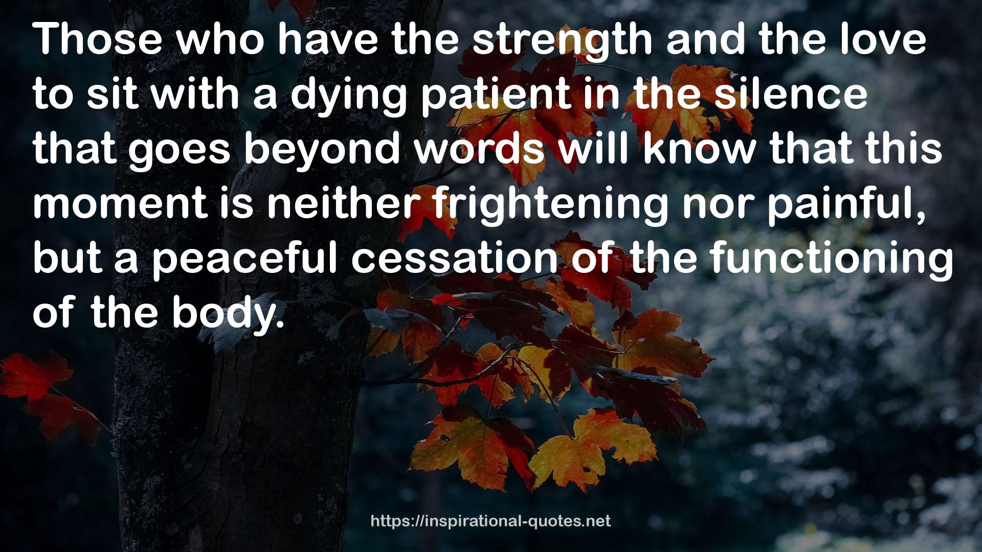 a dying patient  QUOTES