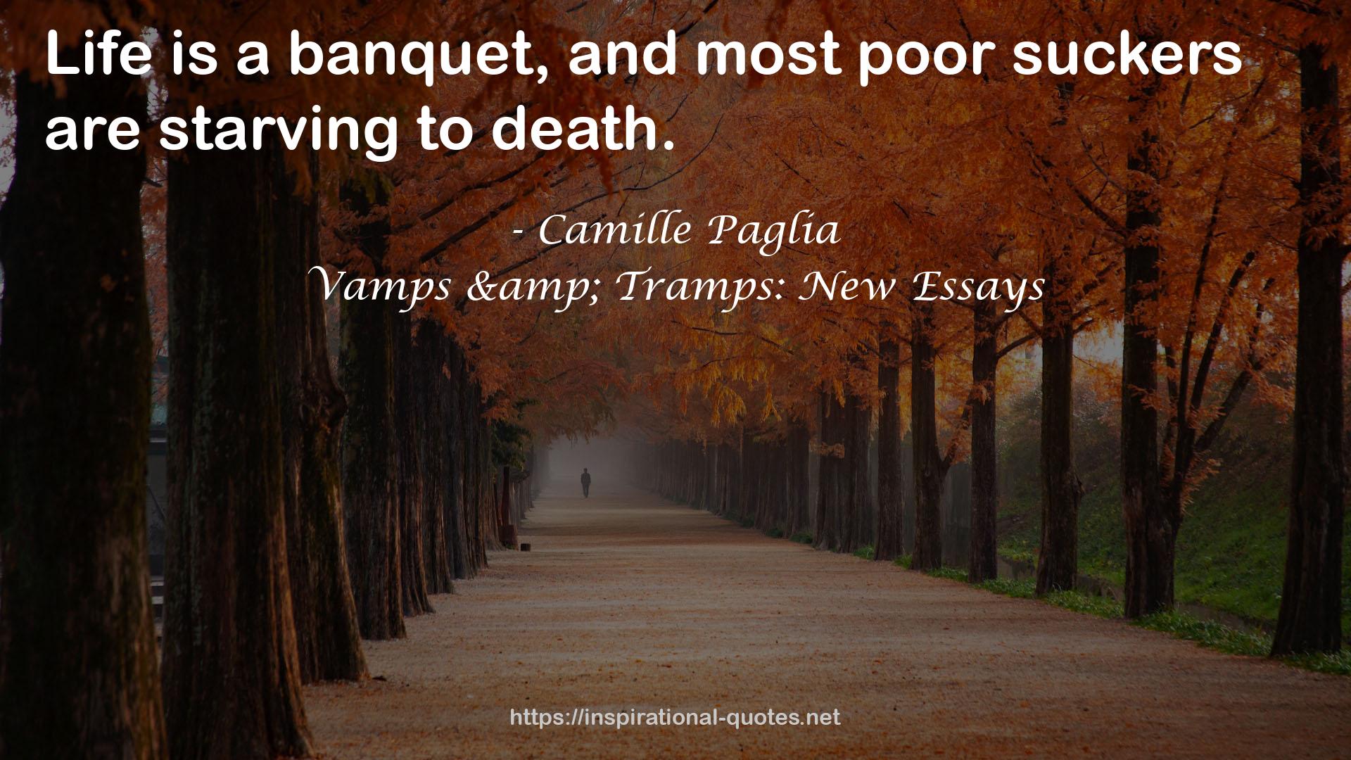 Vamps & Tramps: New Essays QUOTES