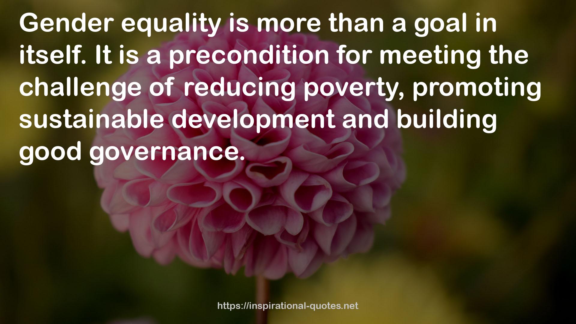 Sustainable Development  QUOTES