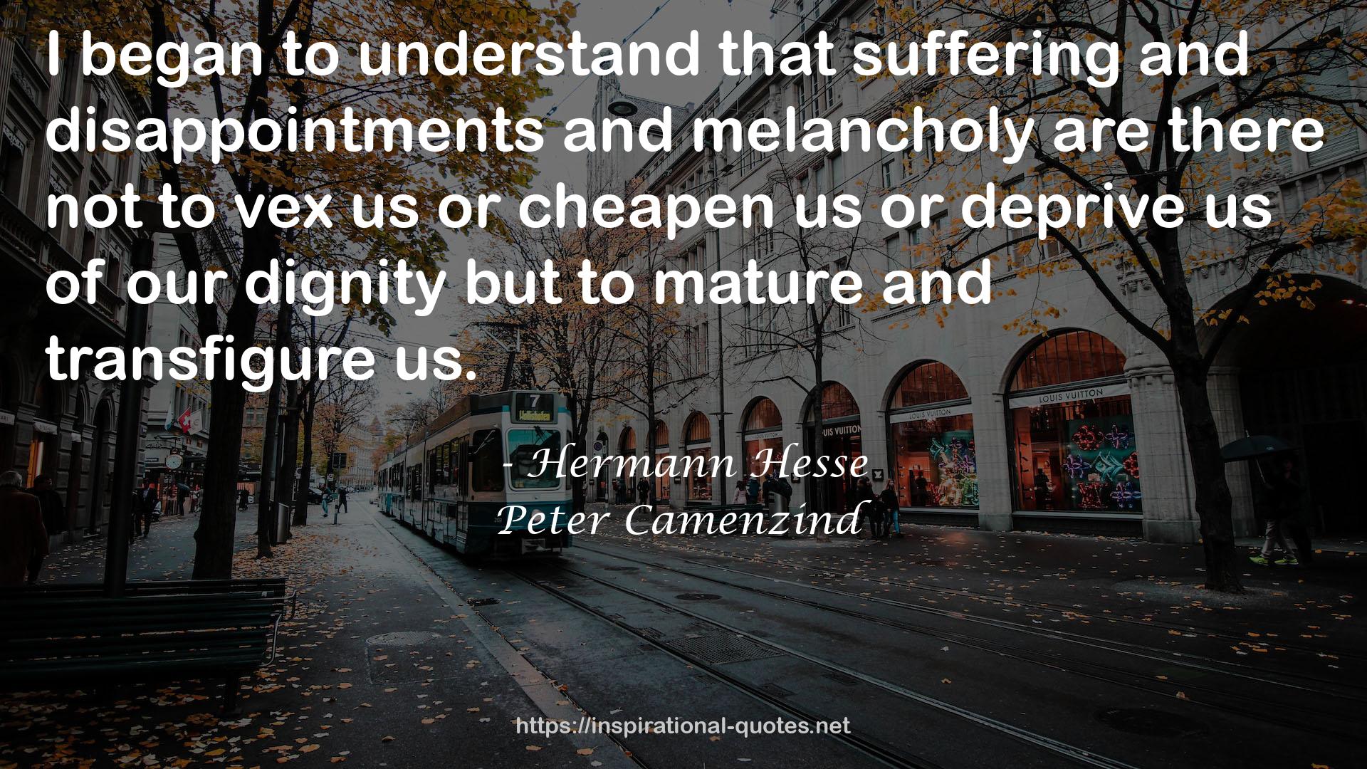 Hermann Hesse QUOTES