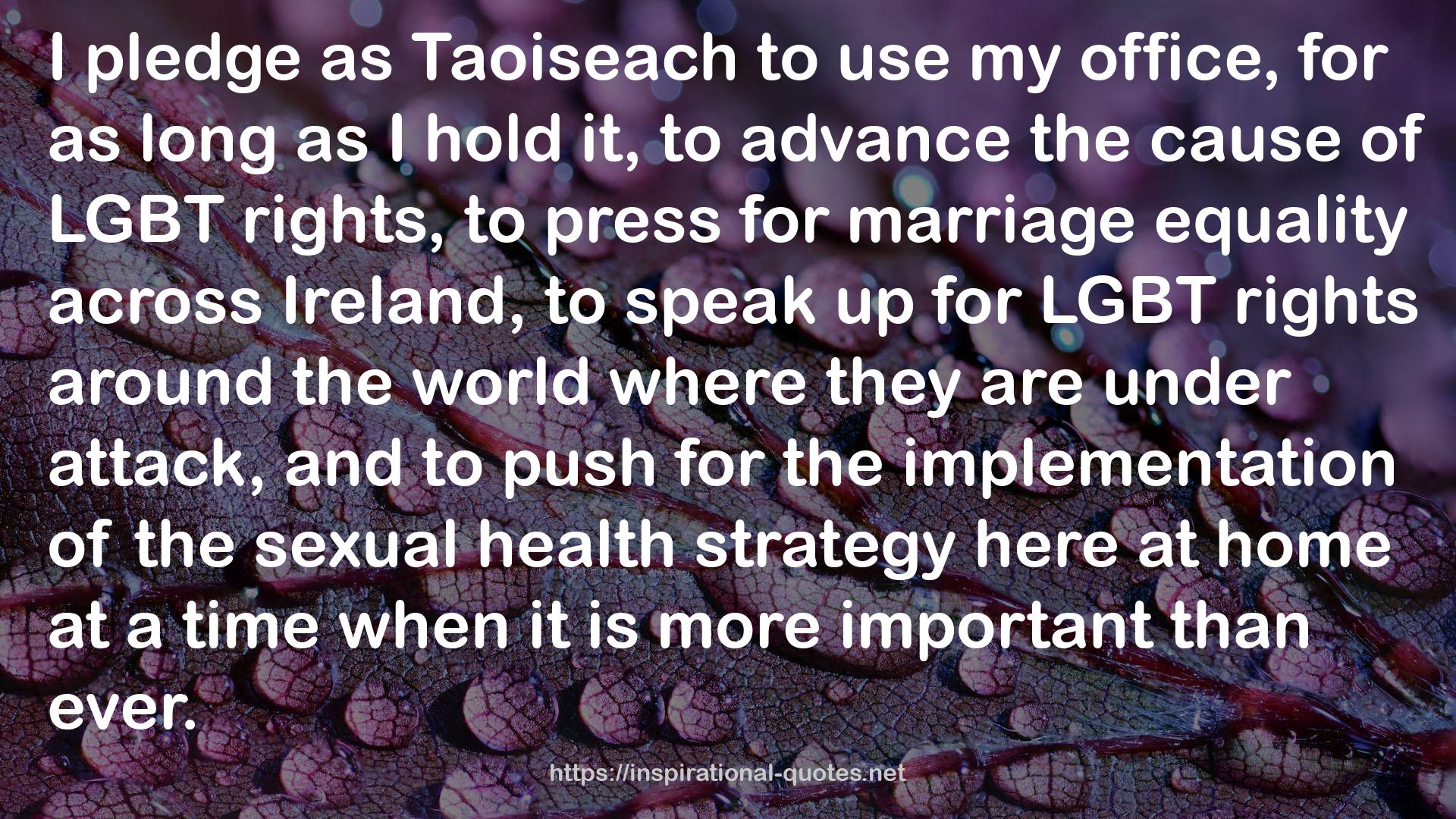 Taoiseach  QUOTES