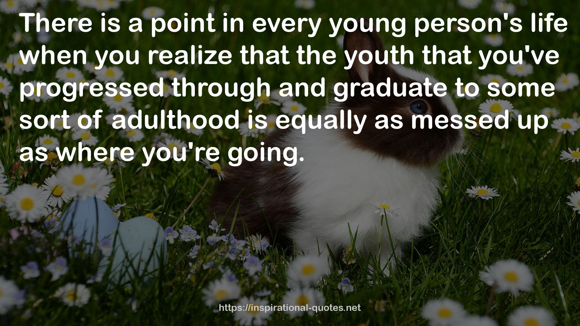 every young person's life  QUOTES