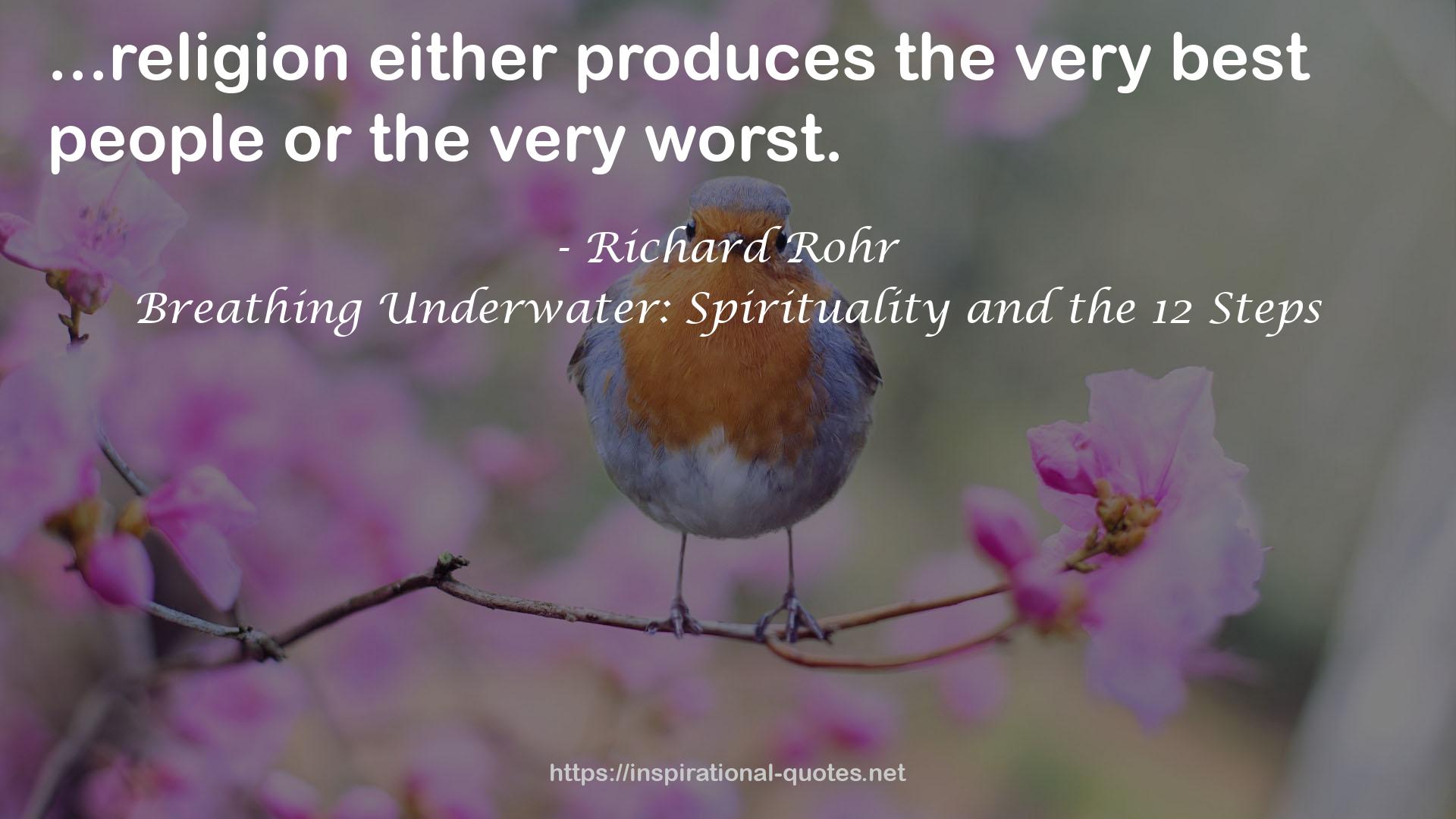 Breathing Underwater: Spirituality and the 12 Steps QUOTES