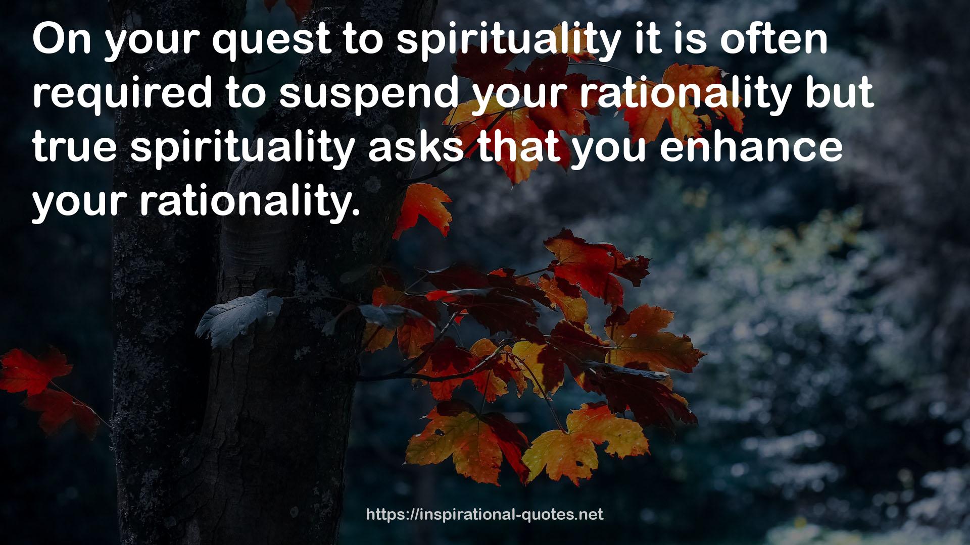 your rationality but true spirituality  QUOTES