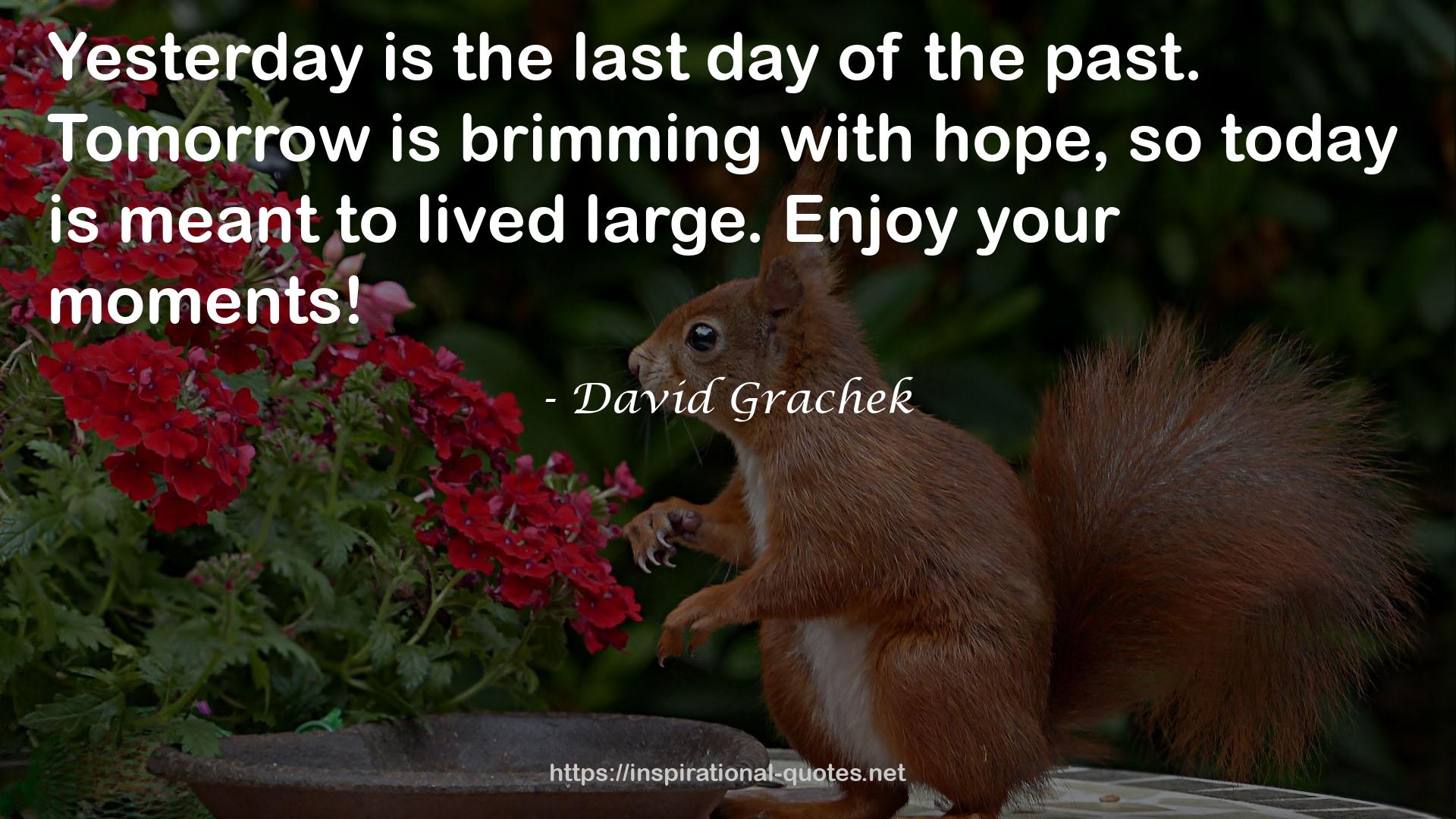 David Grachek QUOTES