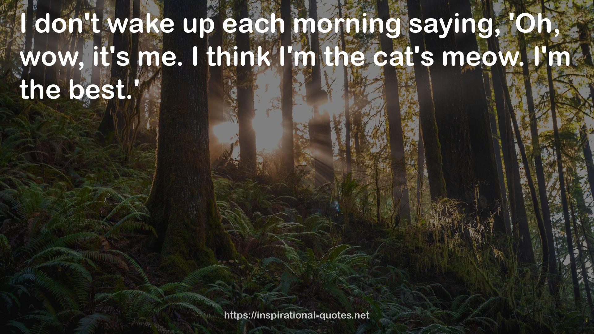 each morning  QUOTES