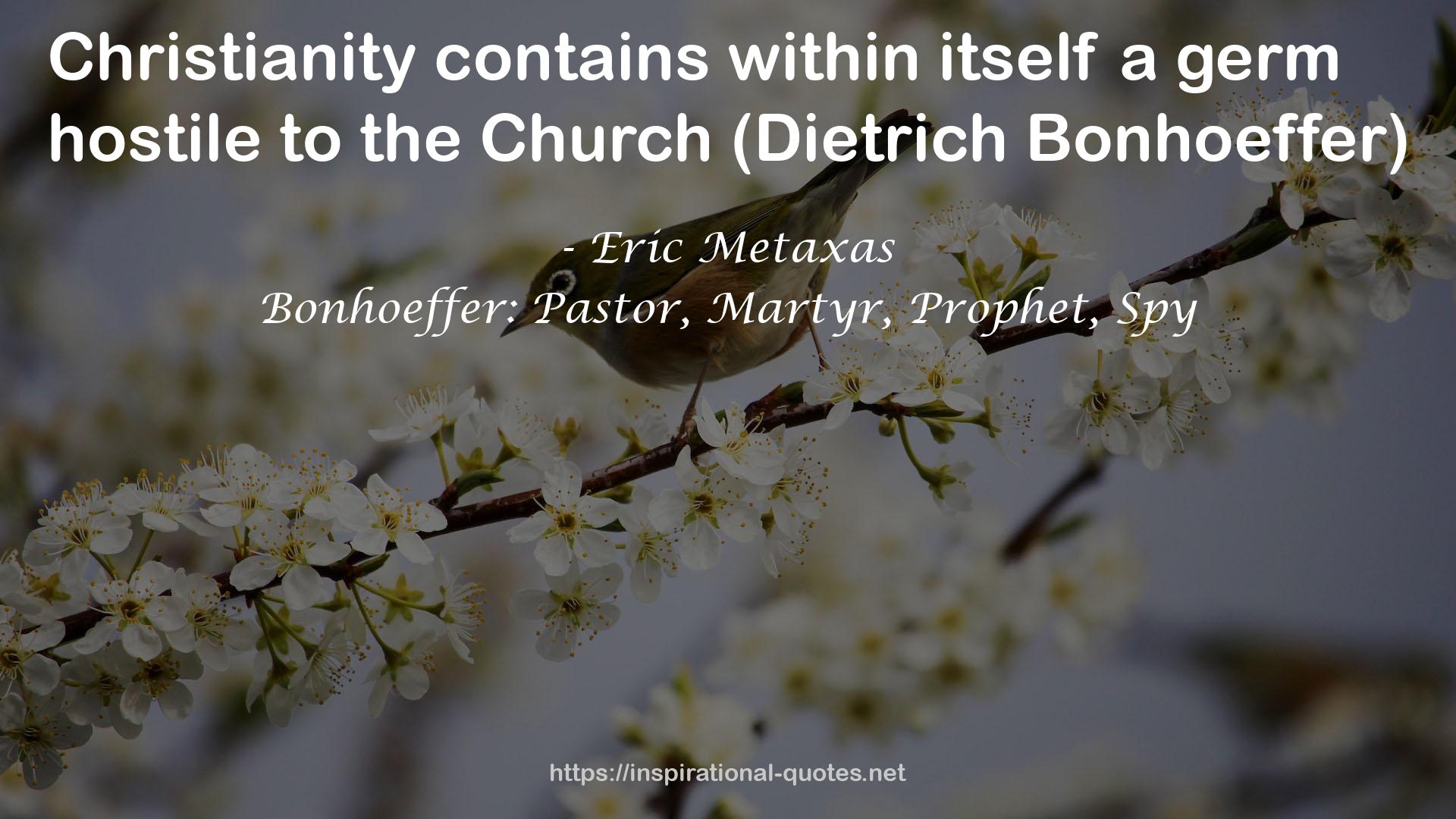 Bonhoeffer: Pastor, Martyr, Prophet, Spy QUOTES