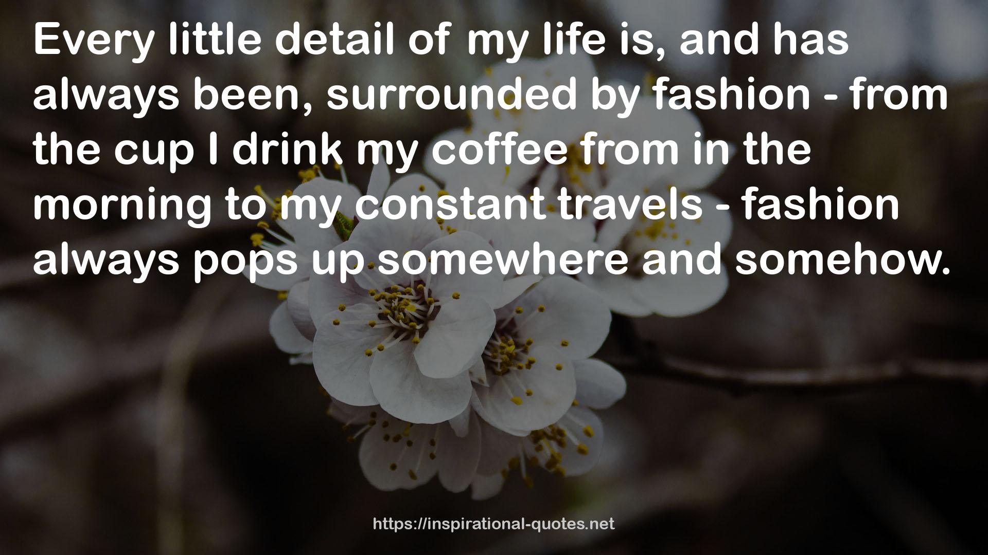 my constant travels - fashion  QUOTES