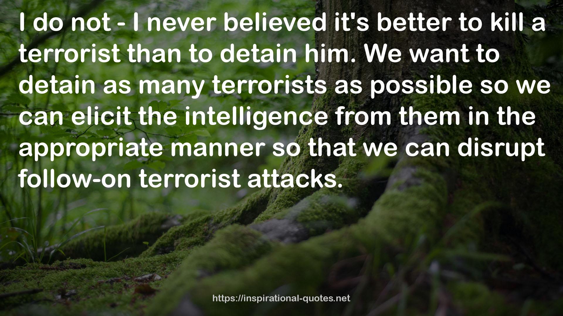 a terrorist  QUOTES