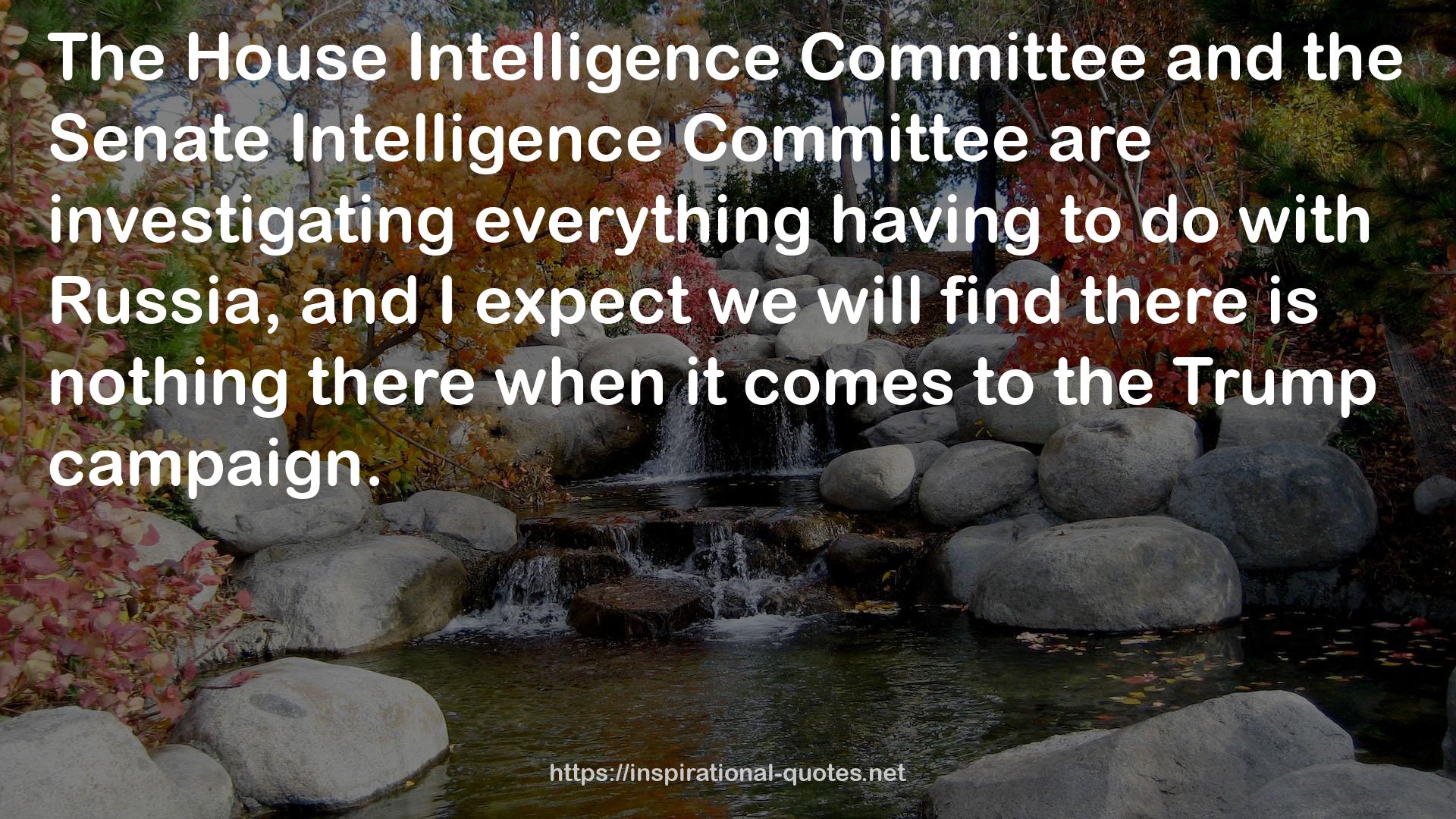 committee  QUOTES