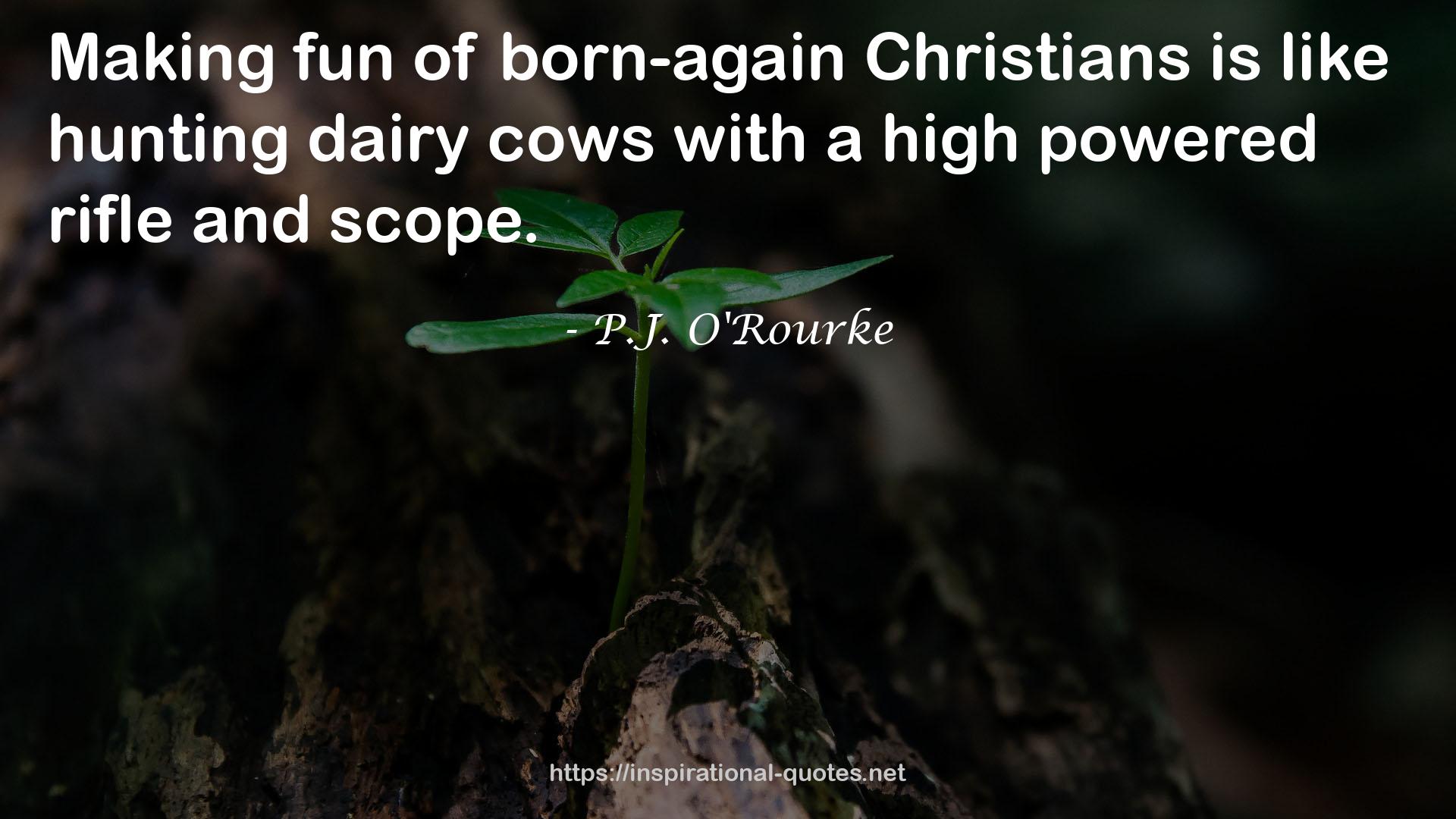 dairy cows  QUOTES