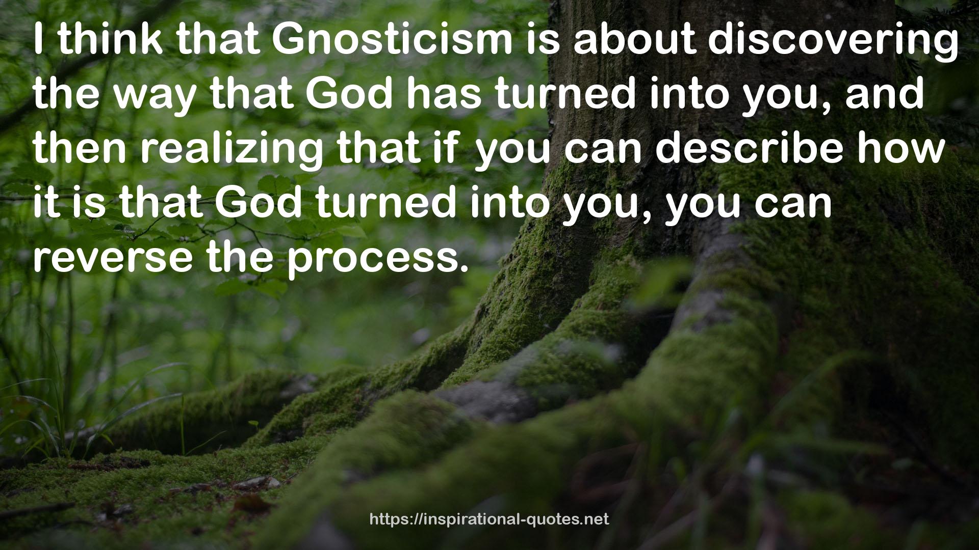Gnosticism  QUOTES