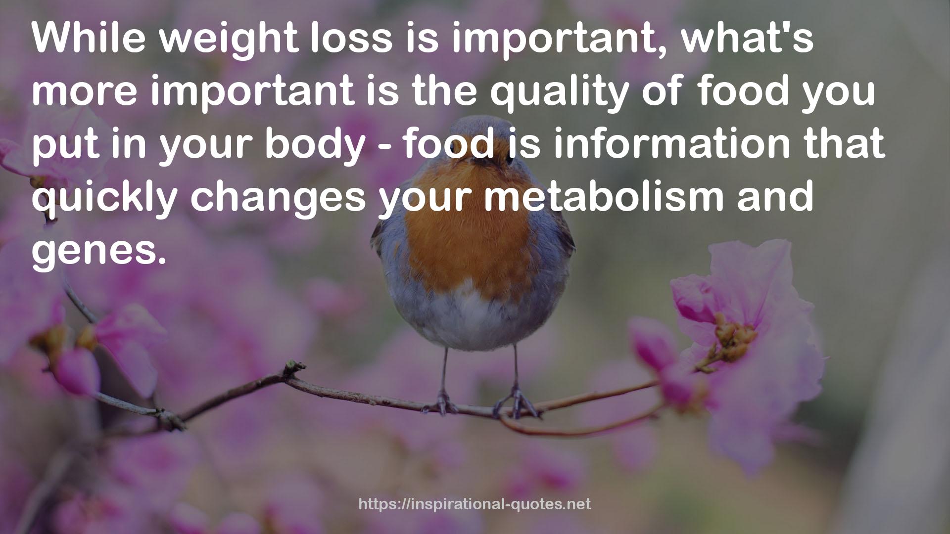 your metabolism  QUOTES