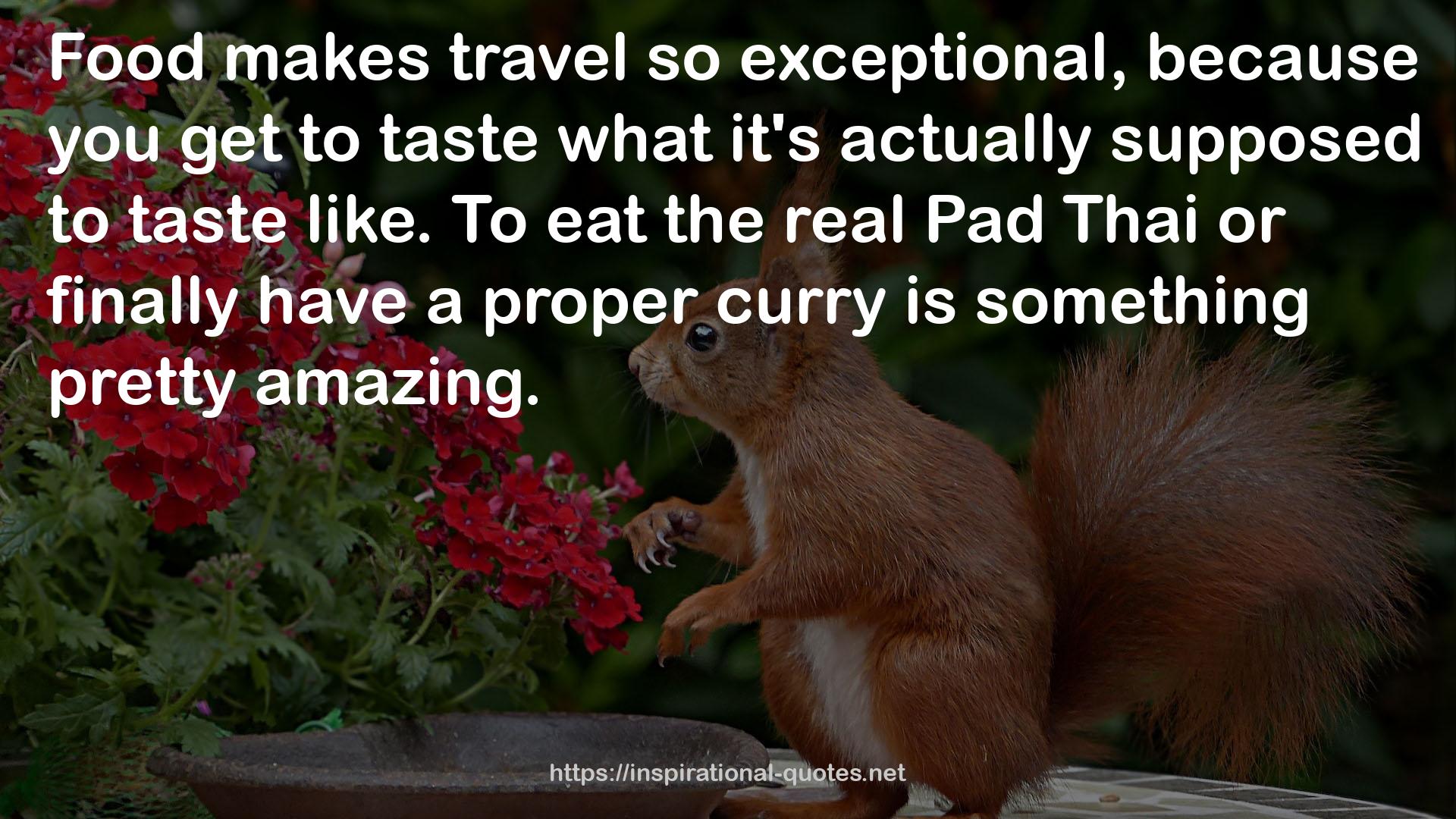 a proper curry  QUOTES