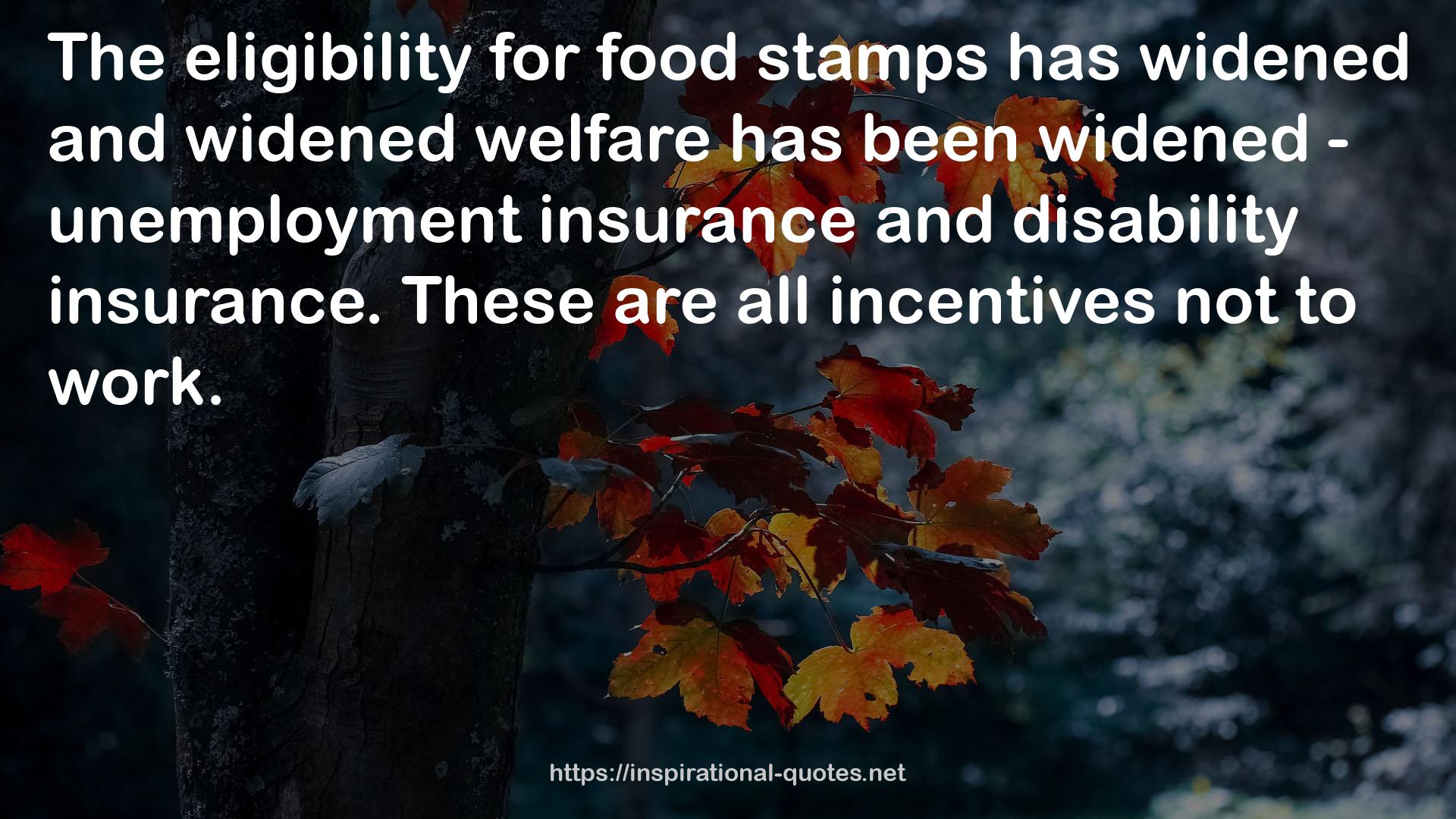 widened welfare  QUOTES