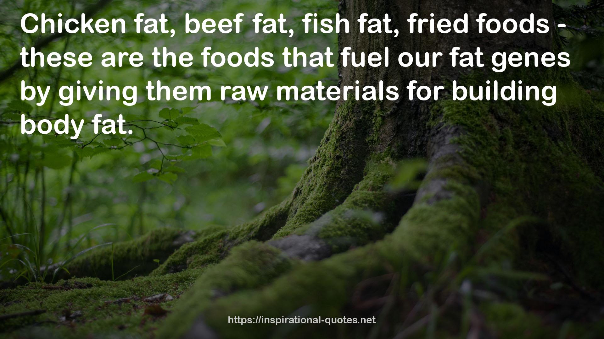 our fat genes  QUOTES