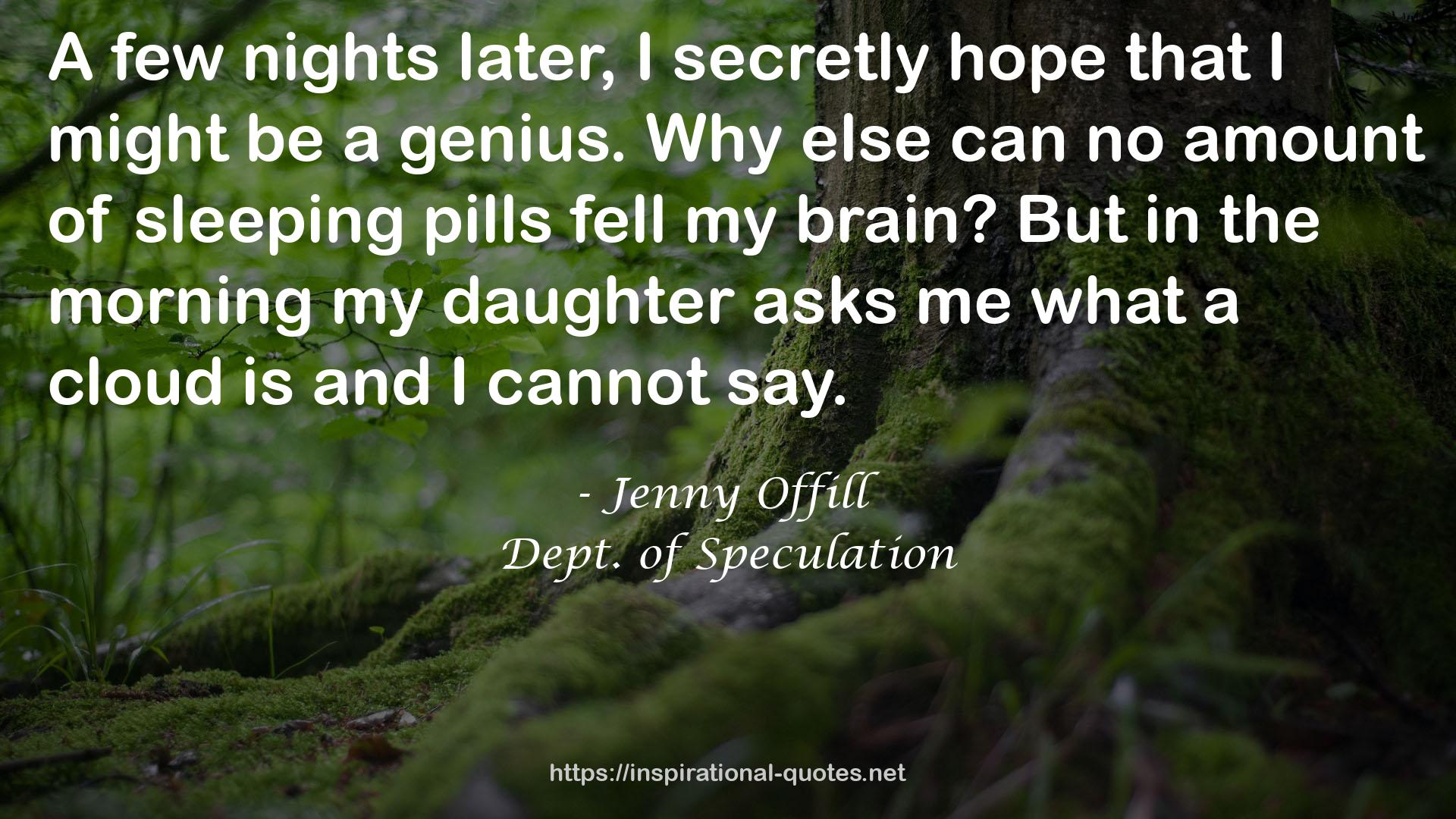 Jenny Offill QUOTES