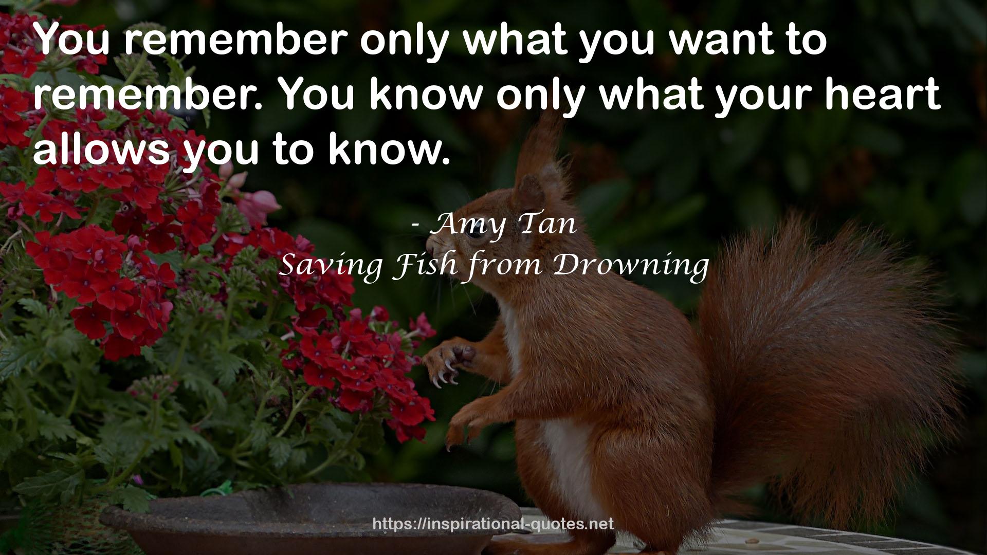 Saving Fish from Drowning QUOTES