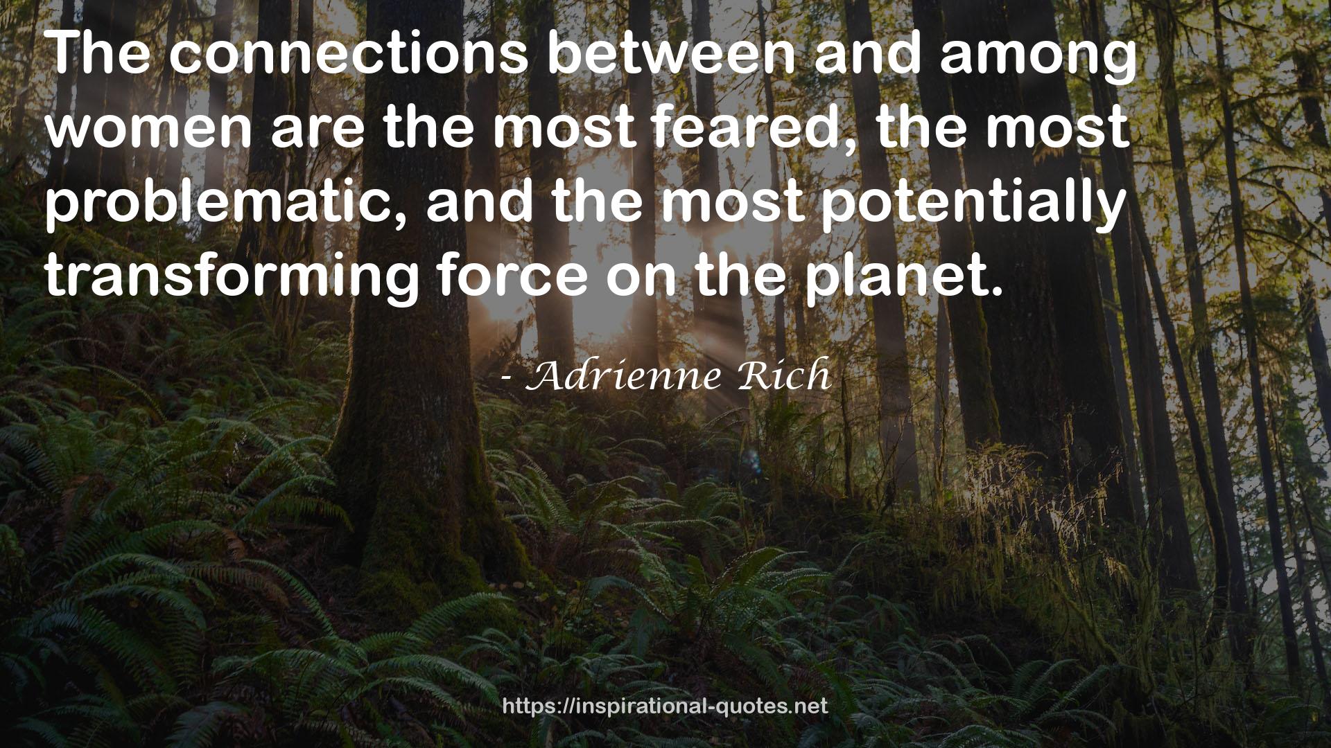 Adrienne Rich QUOTES