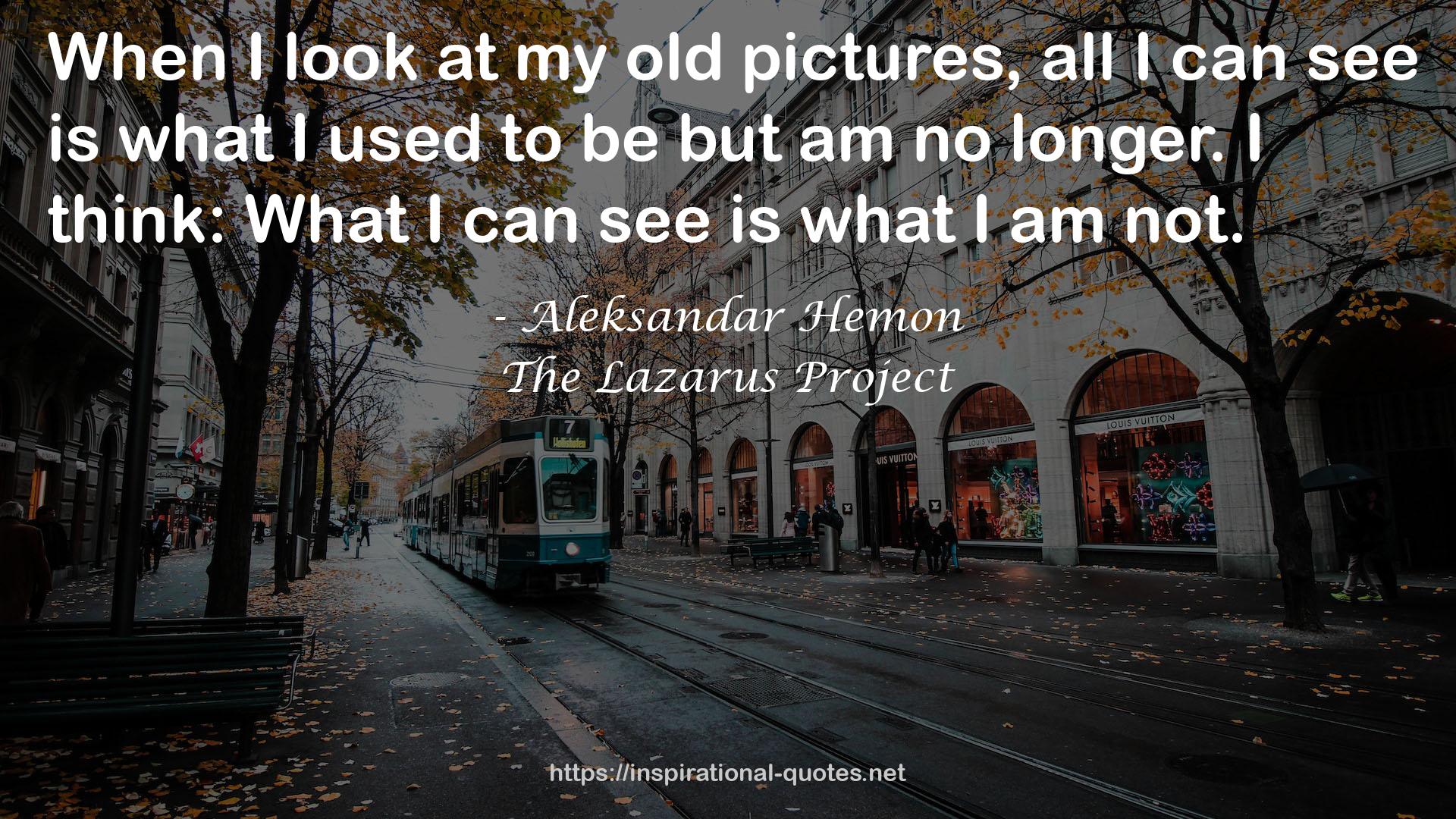 Aleksandar Hemon QUOTES