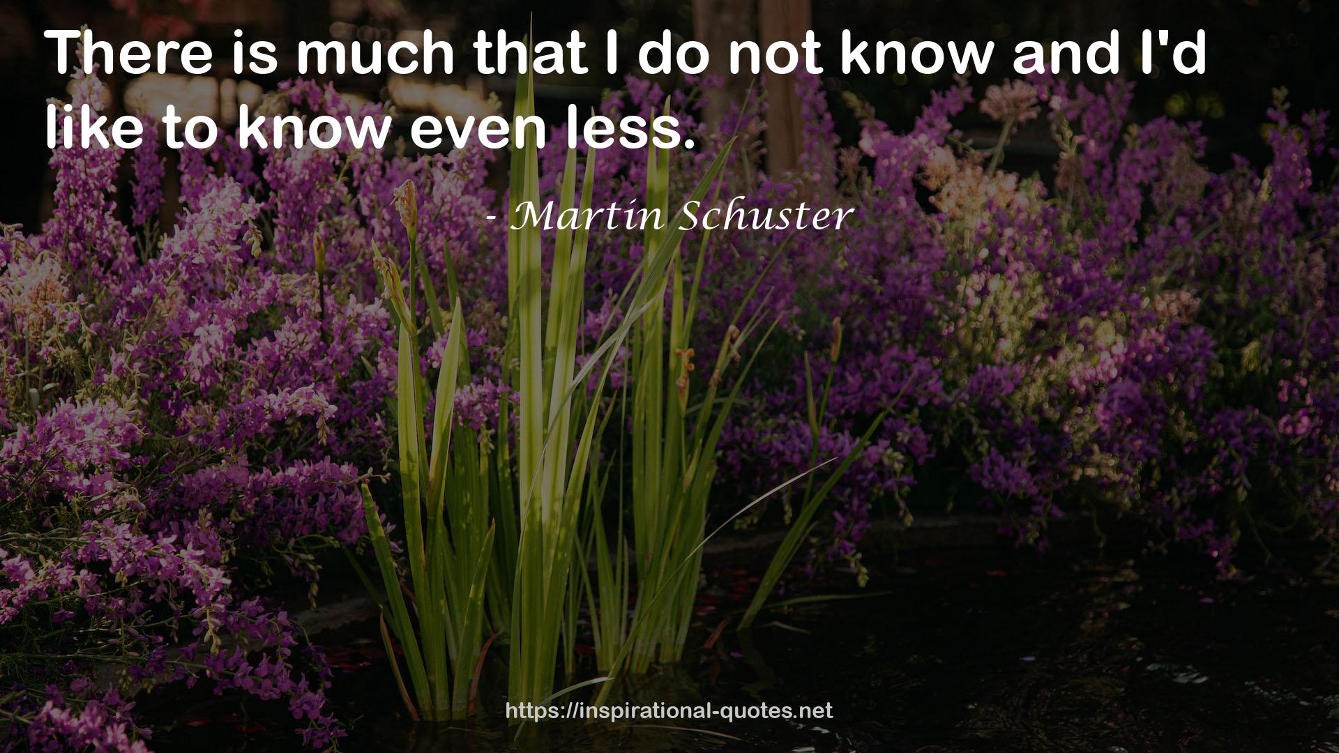 Martin Schuster QUOTES