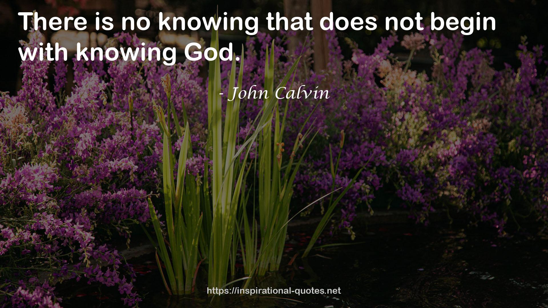 John Calvin QUOTES