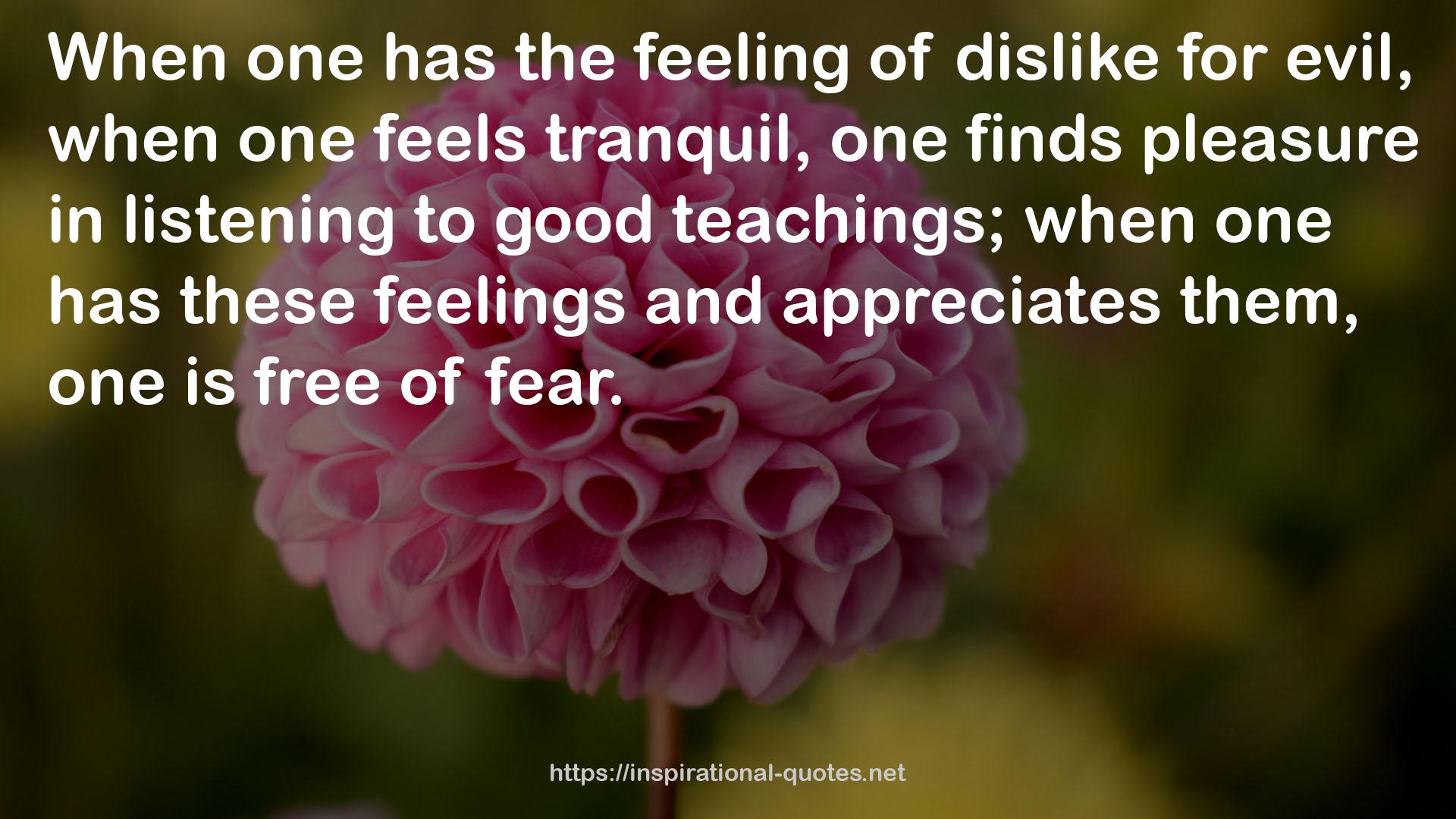 these feelings  QUOTES