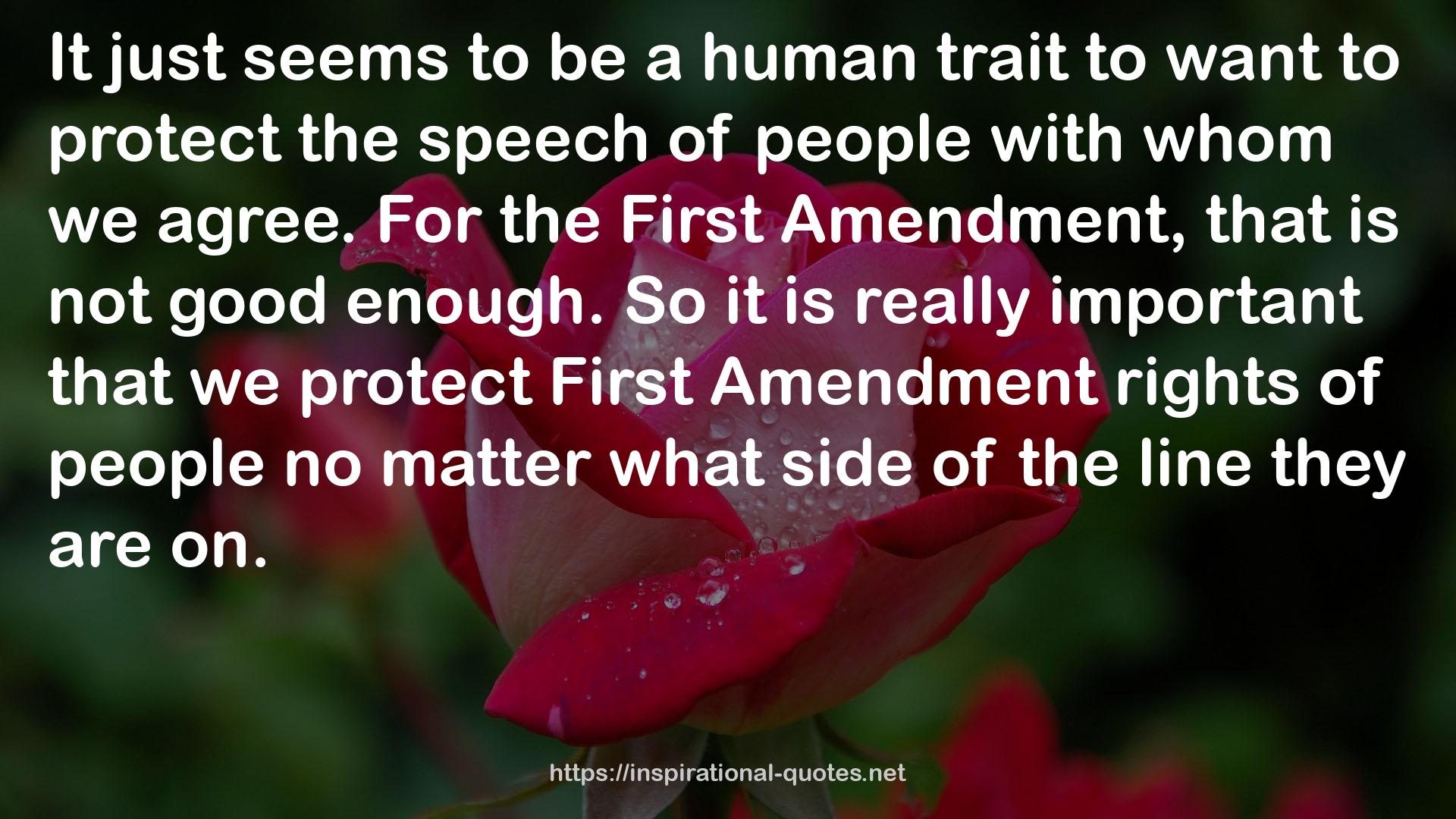 First Amendment rights  QUOTES
