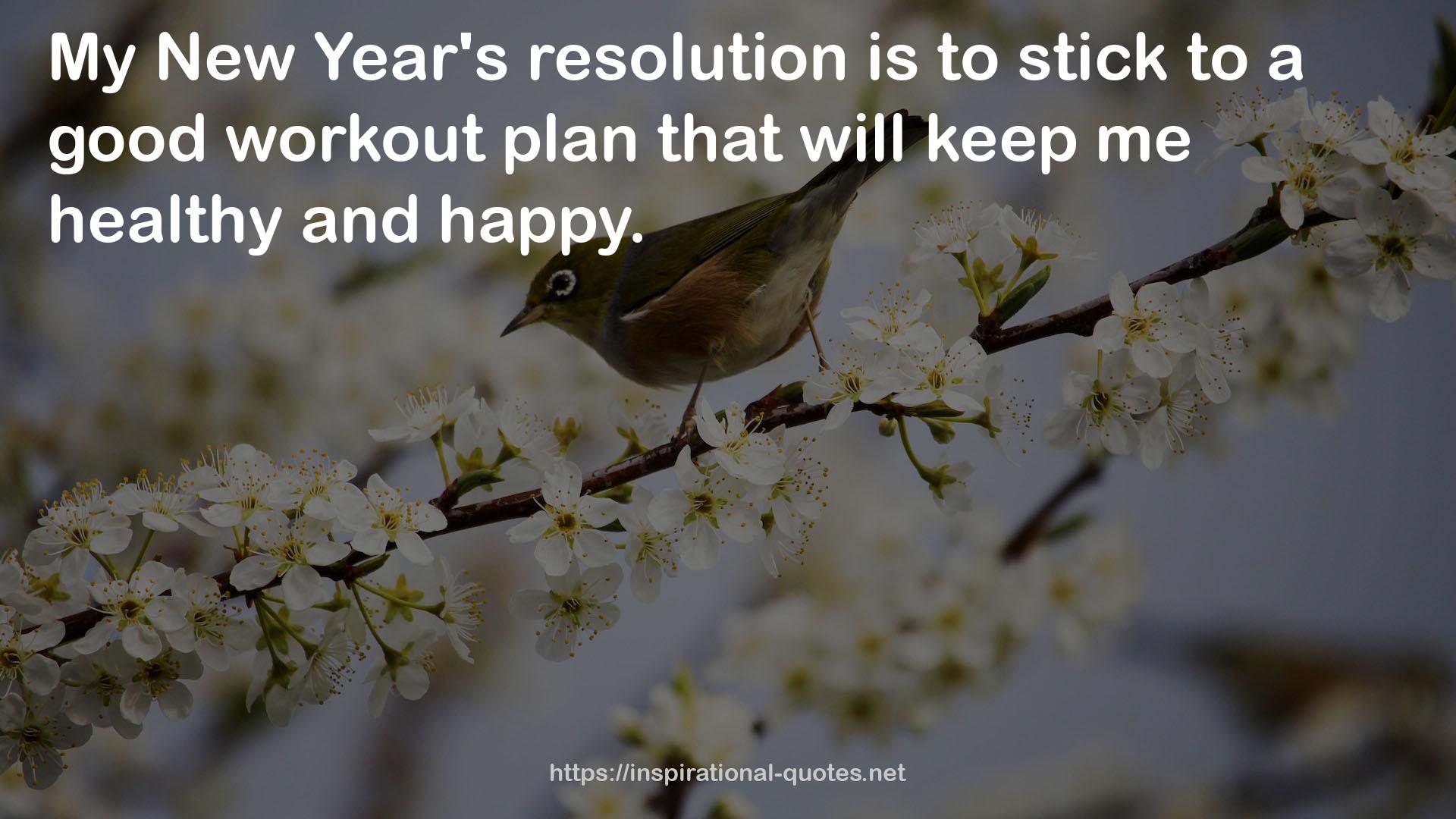 New Year's Resolution  QUOTES