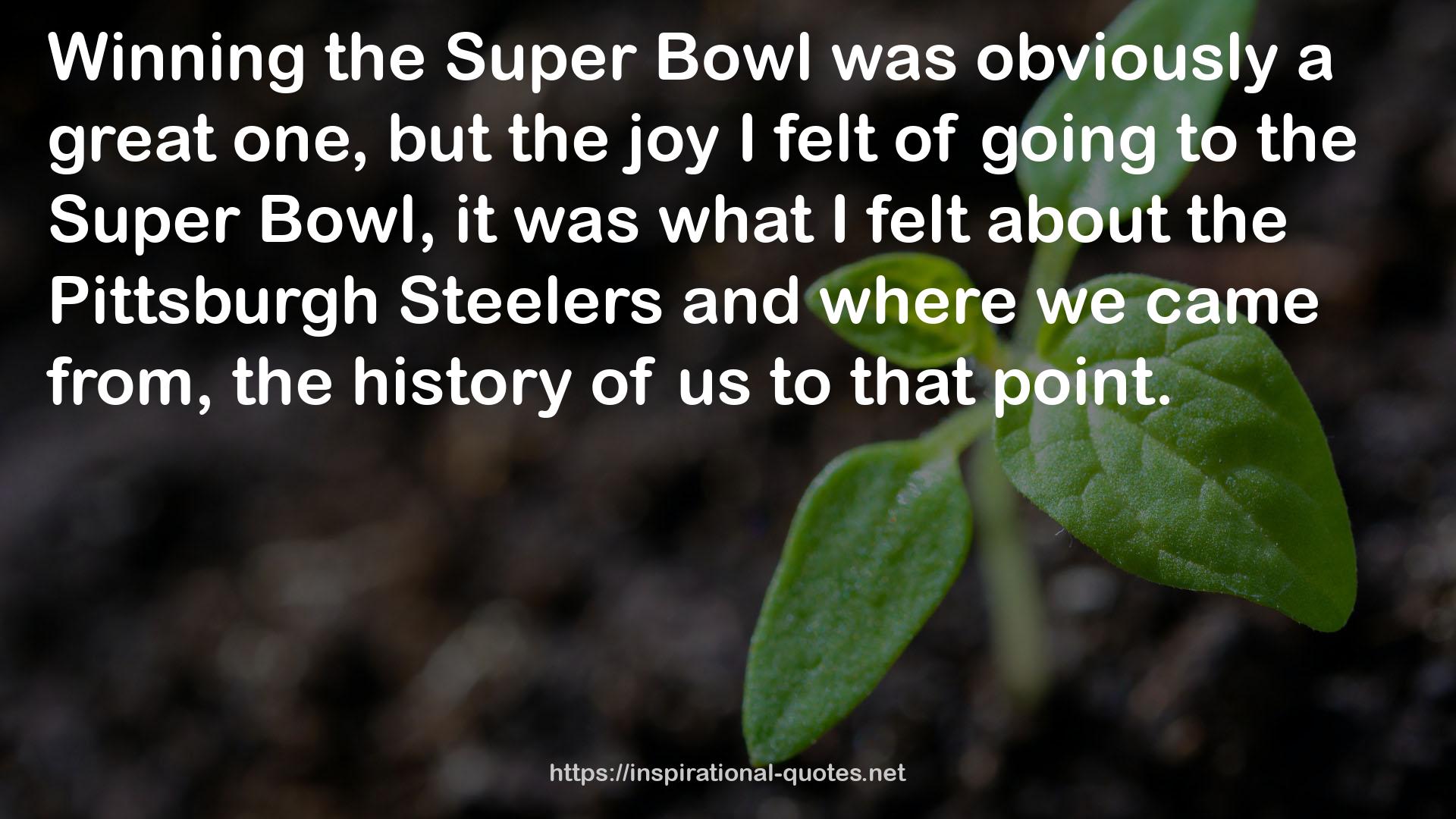 the Pittsburgh Steelers  QUOTES