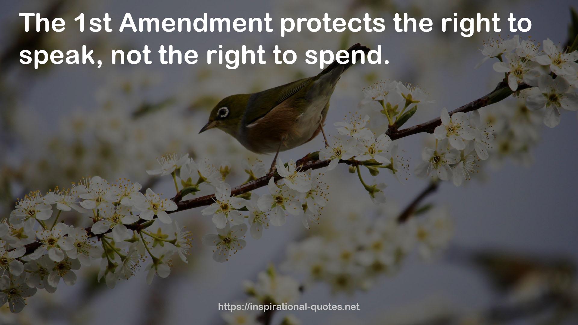 1st Amendment  QUOTES