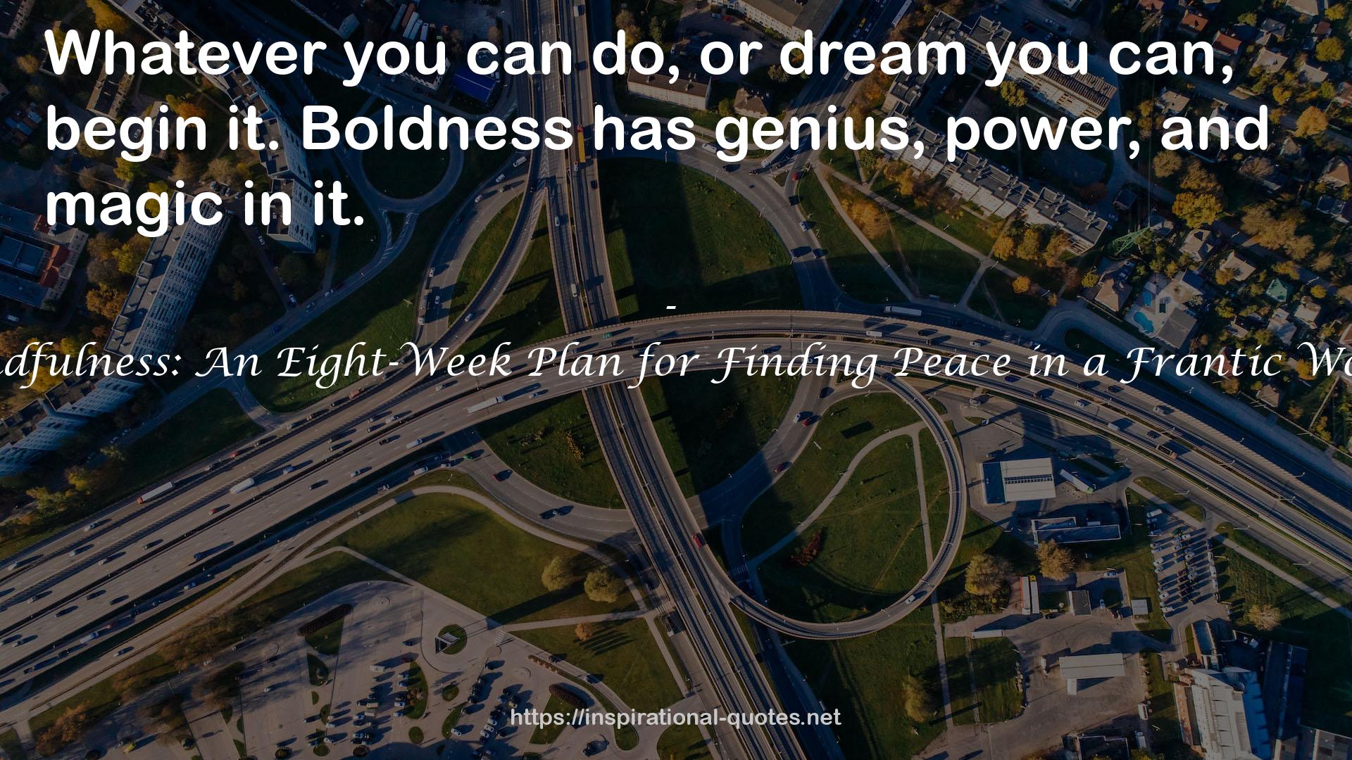 Mindfulness: An Eight-Week Plan for Finding Peace in a Frantic World QUOTES