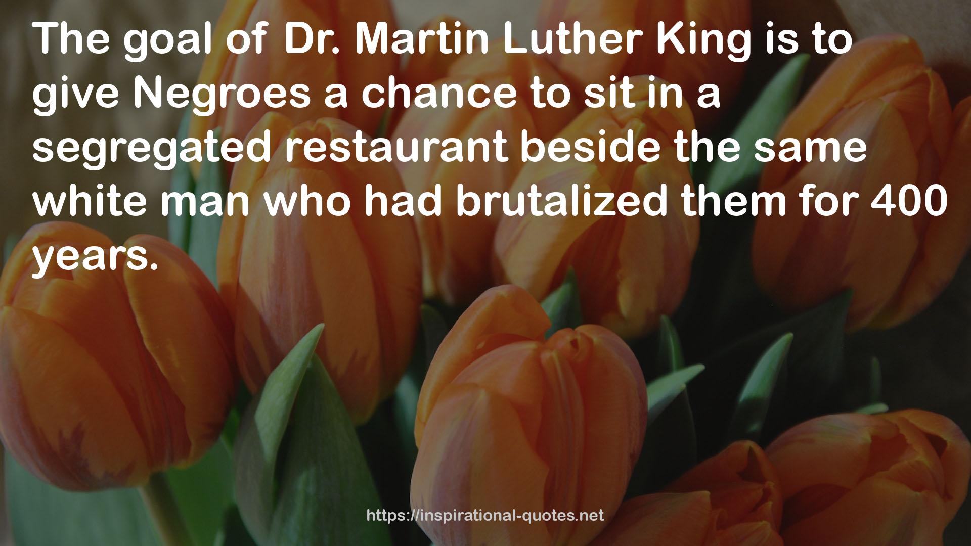 Dr. Martin Luther King  QUOTES