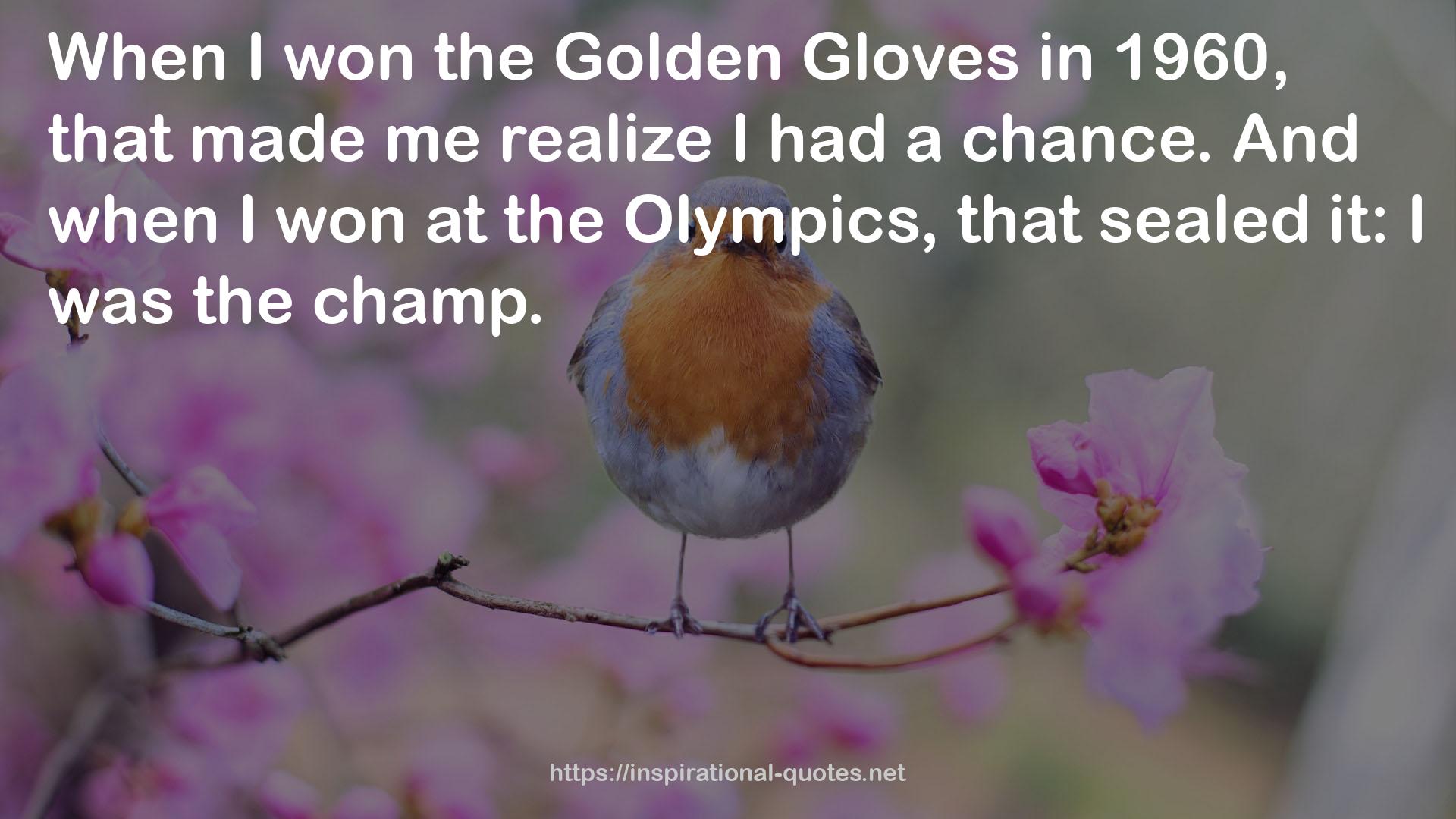 the Golden Gloves  QUOTES